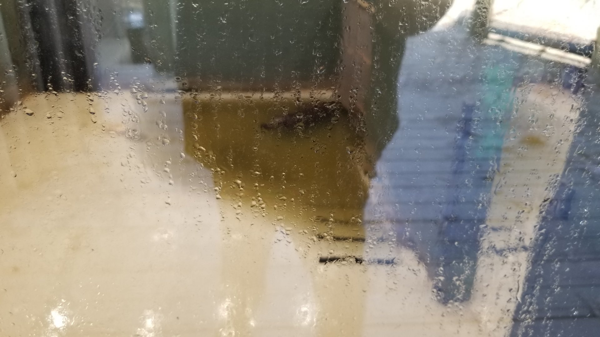 Metro Richmond - Pygmy hippos, indoor area w/hippo