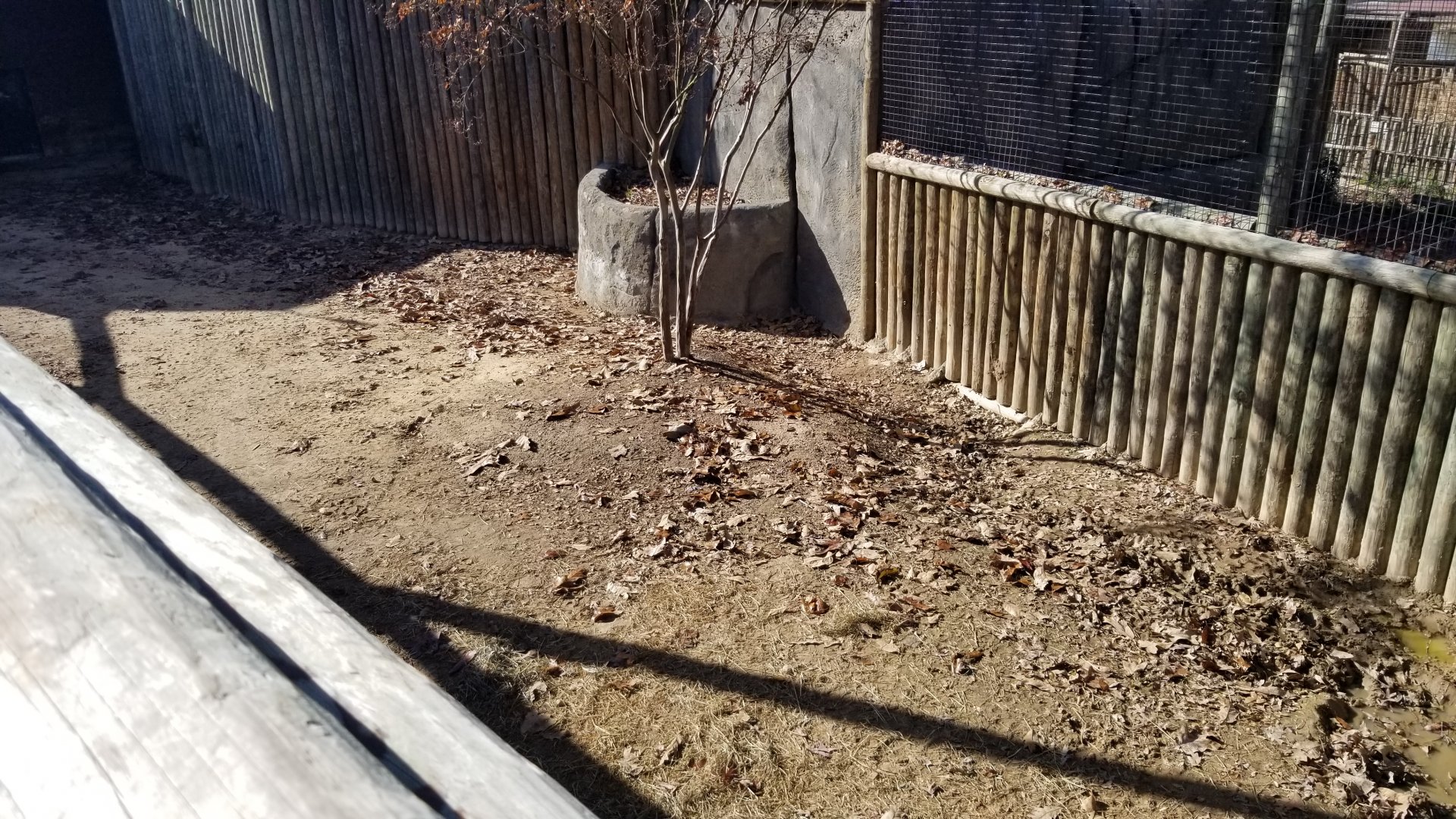 Metro Richmond - Pygmy hippos, other land area