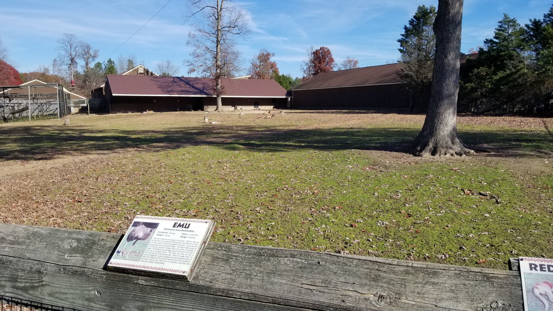 Metro Richmond - Red Kangaroo / Wallaroo / Emu area