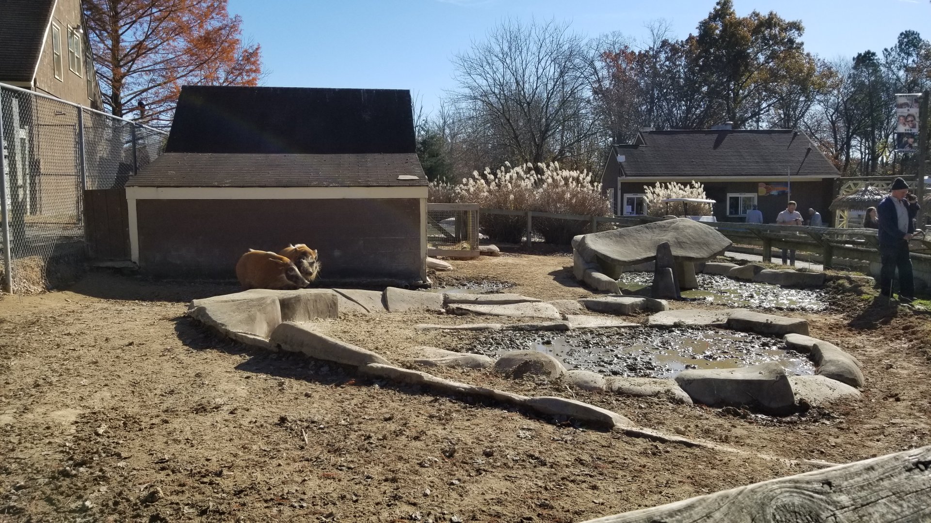 Metro Richmond - Red River Hogs