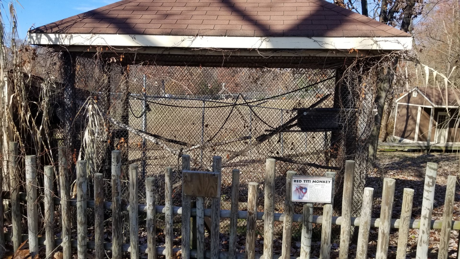 Metro Richmond - Red Titi Monkey