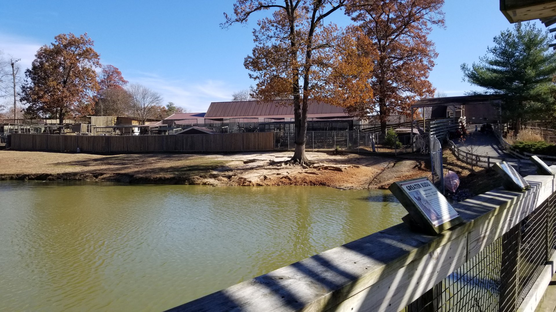 Metro Richmond - rest of Kudu/Bongo/Giraffe yard, with giraffe feeding area