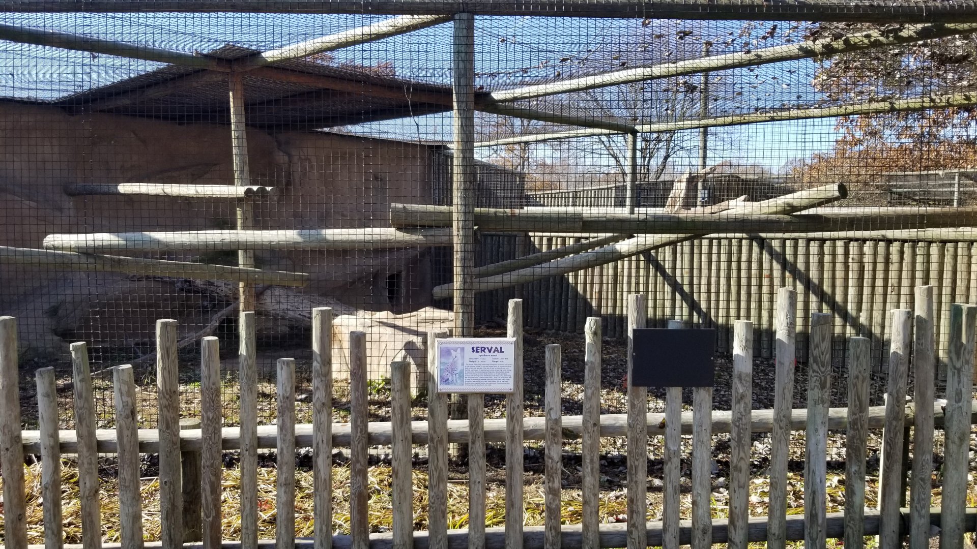 Metro Richmond - Serval