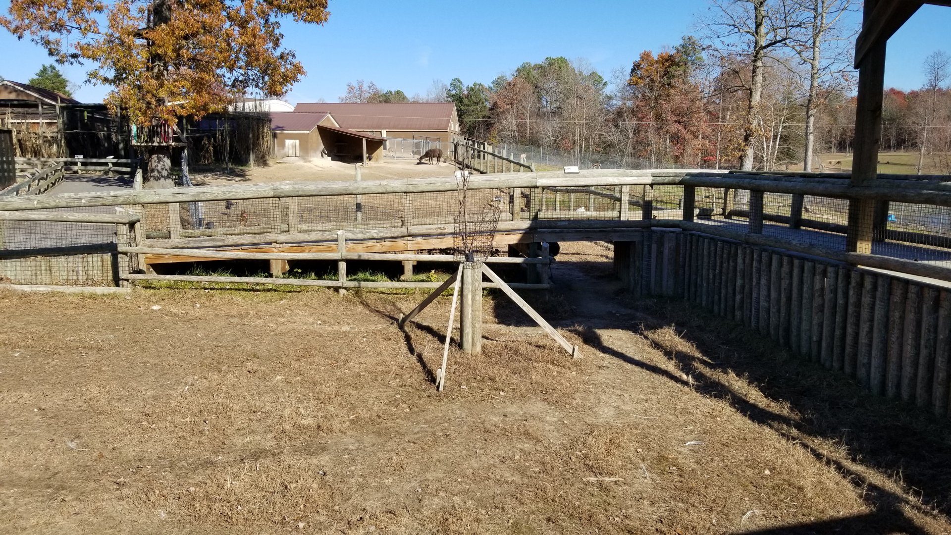 Metro Richmond - tunnel for rheas to go from tapirs to llamas