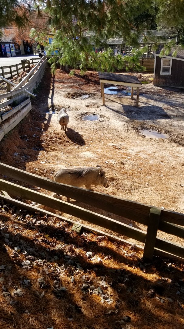 Metro Richmond - Warthogs