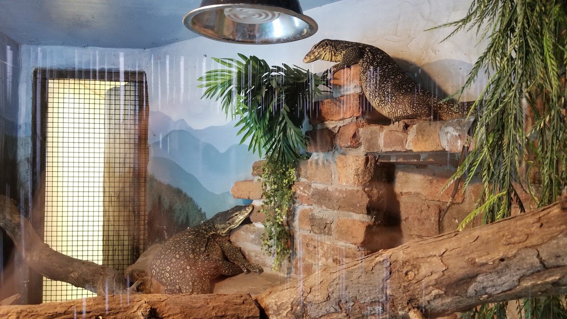 Metro Richmond - Water Monitors