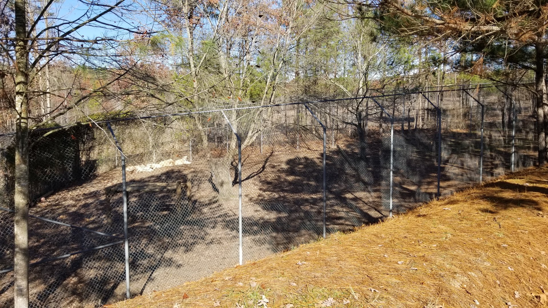 Metro Richmond - white Lions