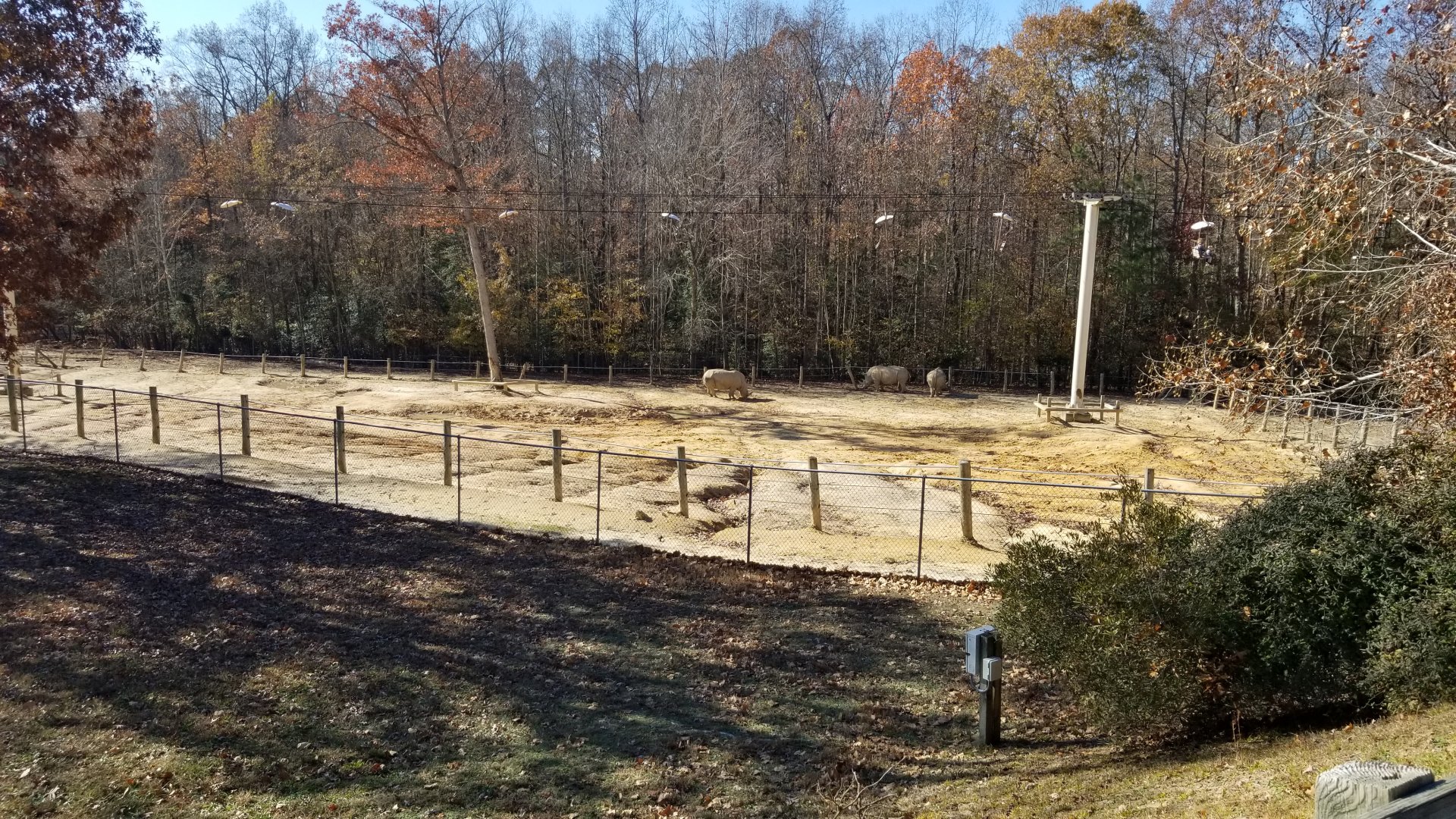 Metro Richmond - White Rhinos