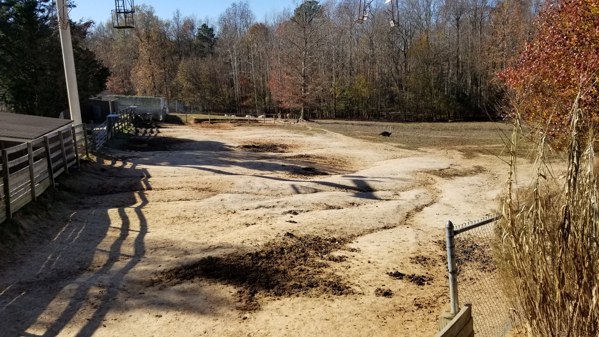 Metro Richmond - Zebra/Addax/Ostrich yard