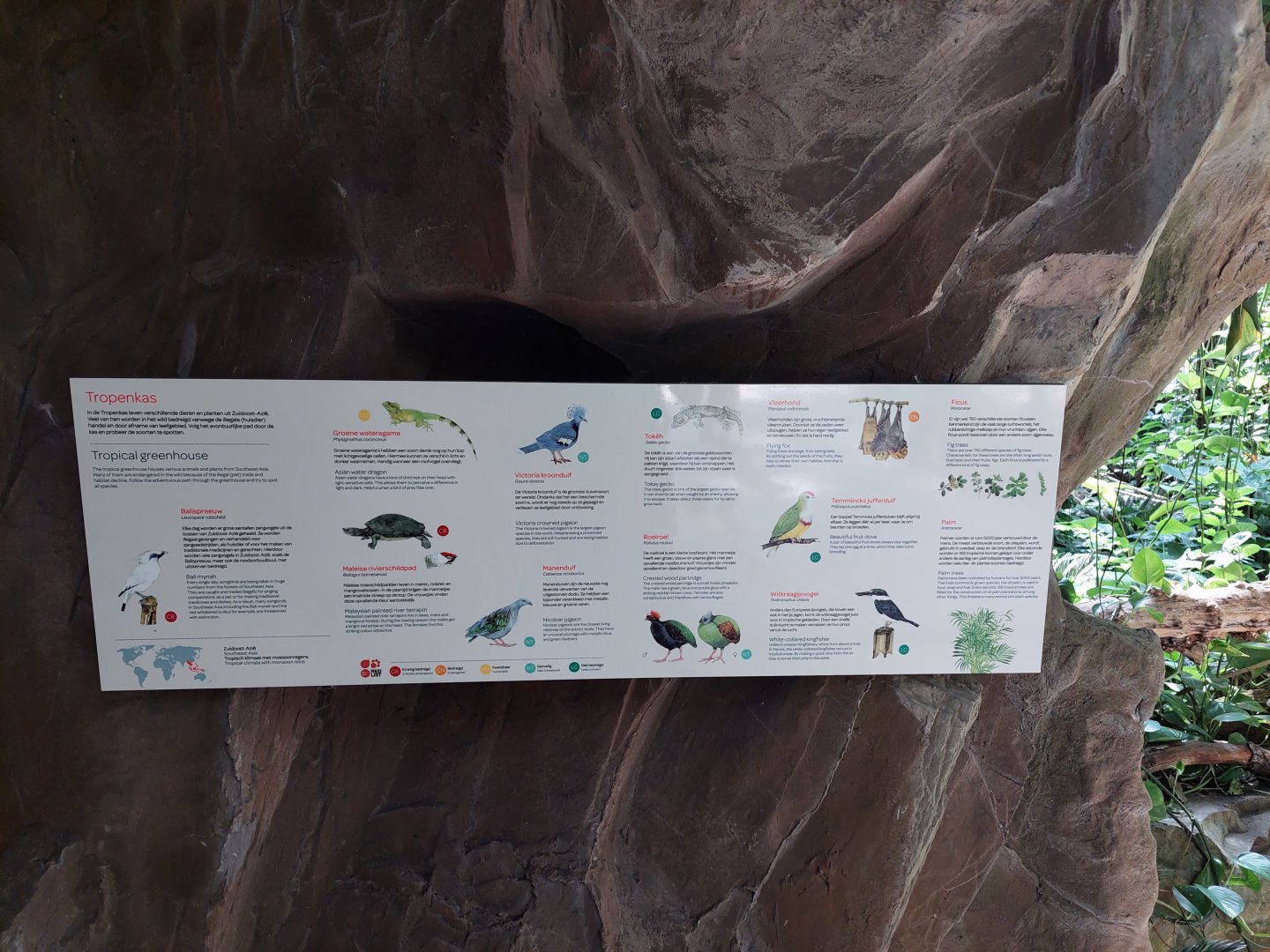 Metzelaarkas Species List 2021