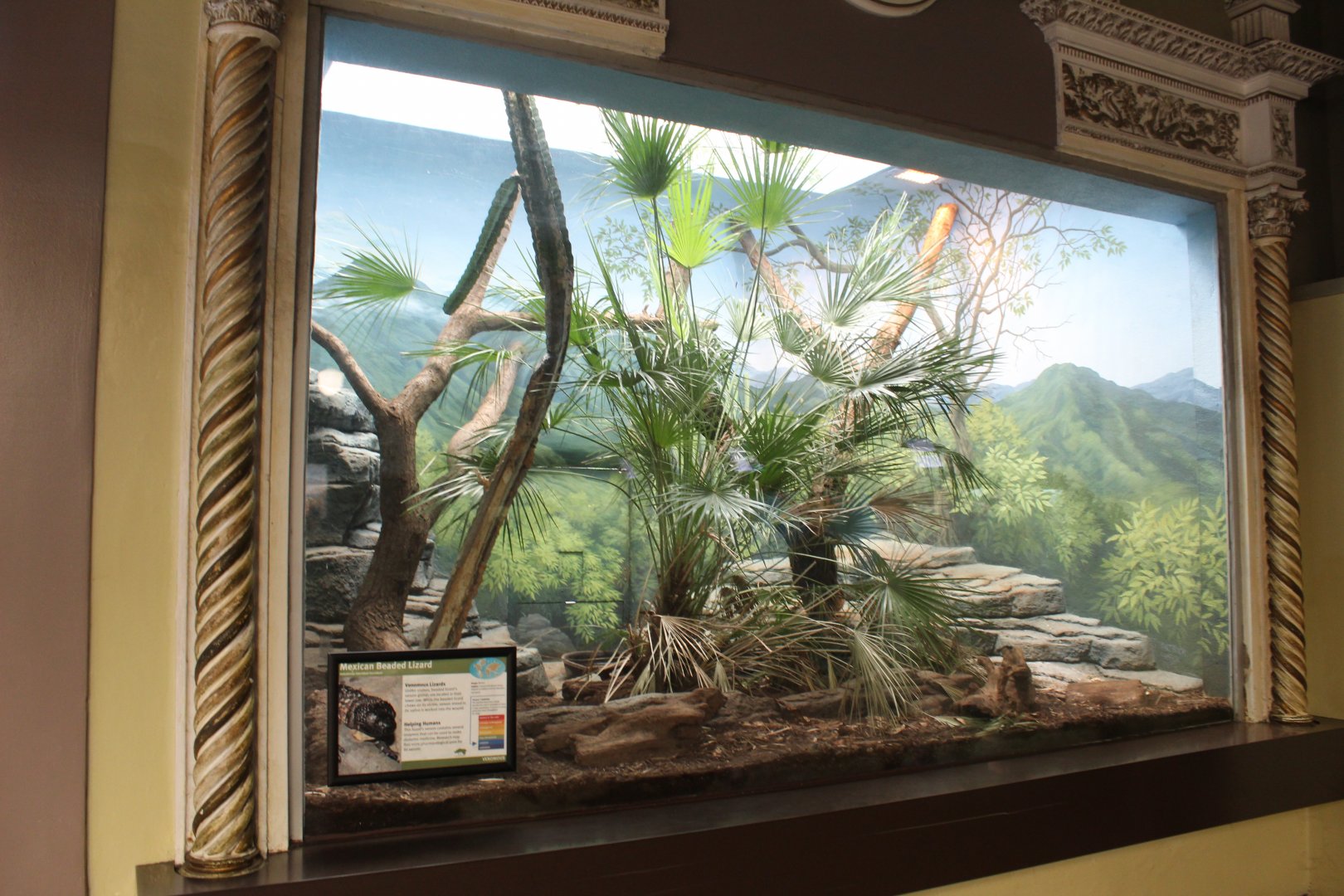 Mexican Beaded Lizard Exhibit - Herpetarium