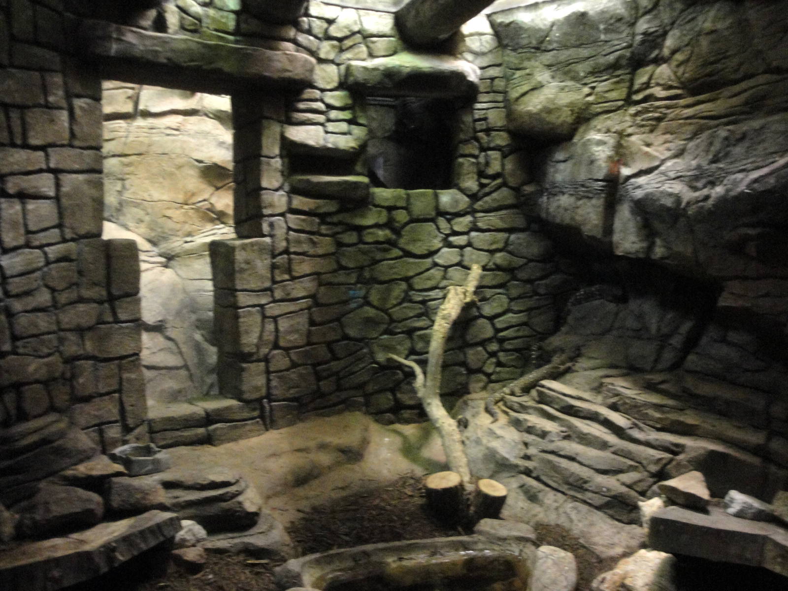 Mexican Beaded Lizard Exhibit