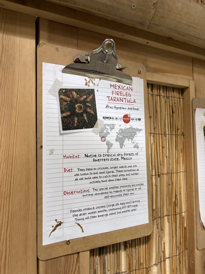 Mexican Fireleg Tarantula Signage