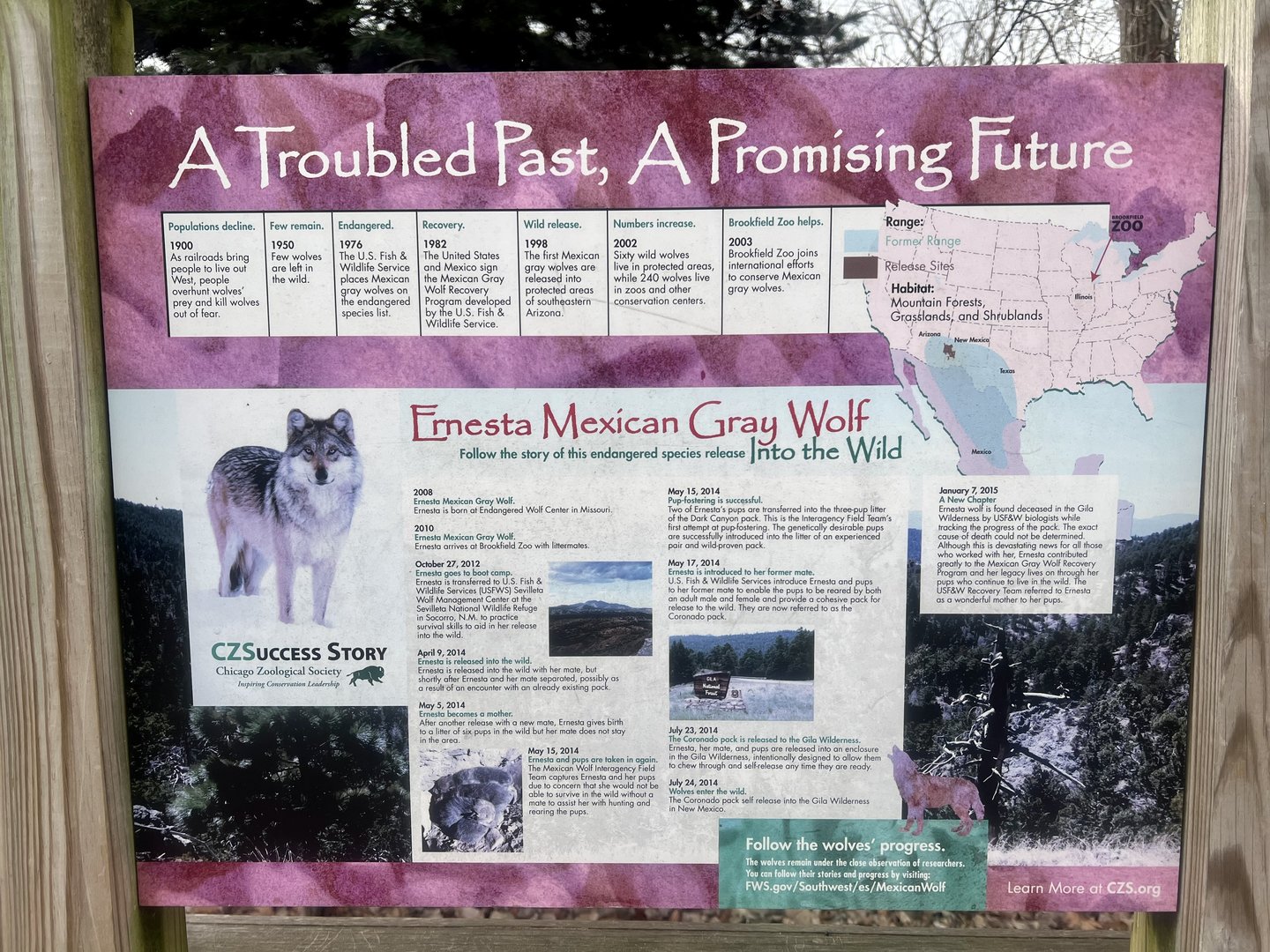 Mexican Gray Wolf Conservation Progress Information Sign