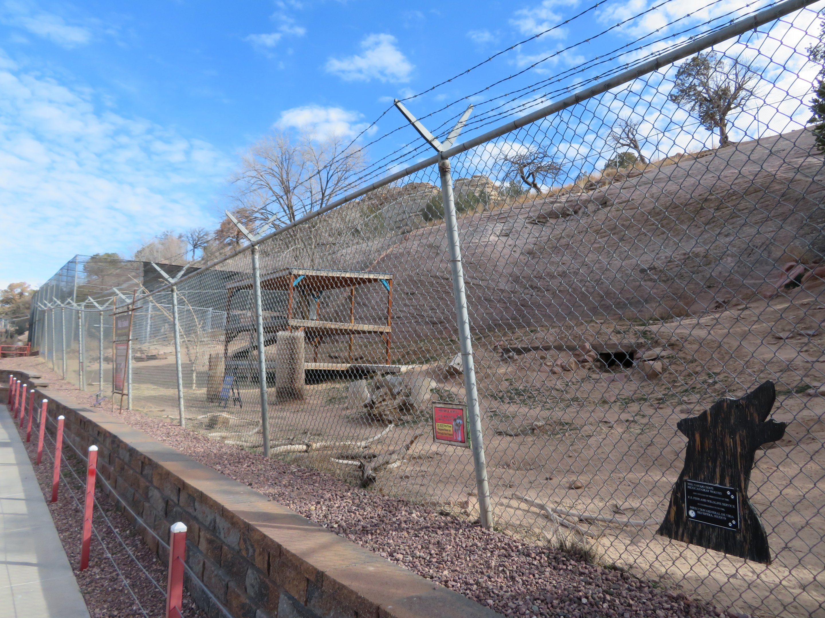 Mexican Gray Wolf Enclosure