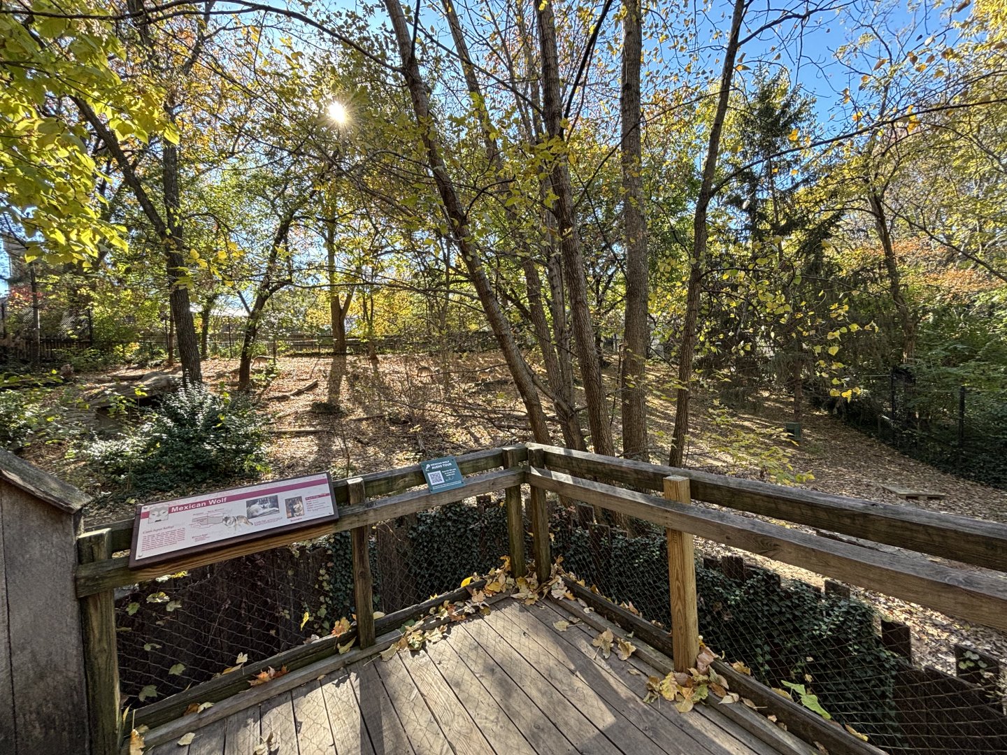 Mexican Grey Wolf Enclosure - Wolf Woods