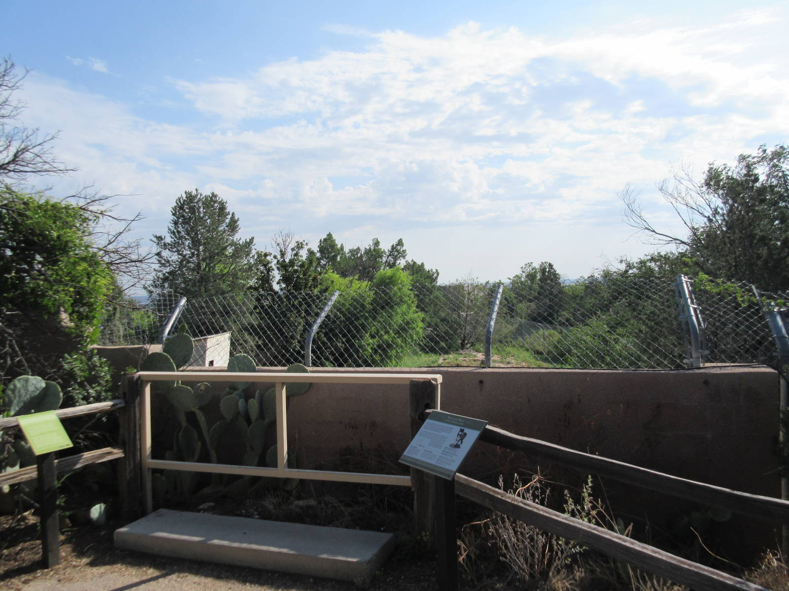 Mexican Grey Wolf Exhibit - Visitor Area