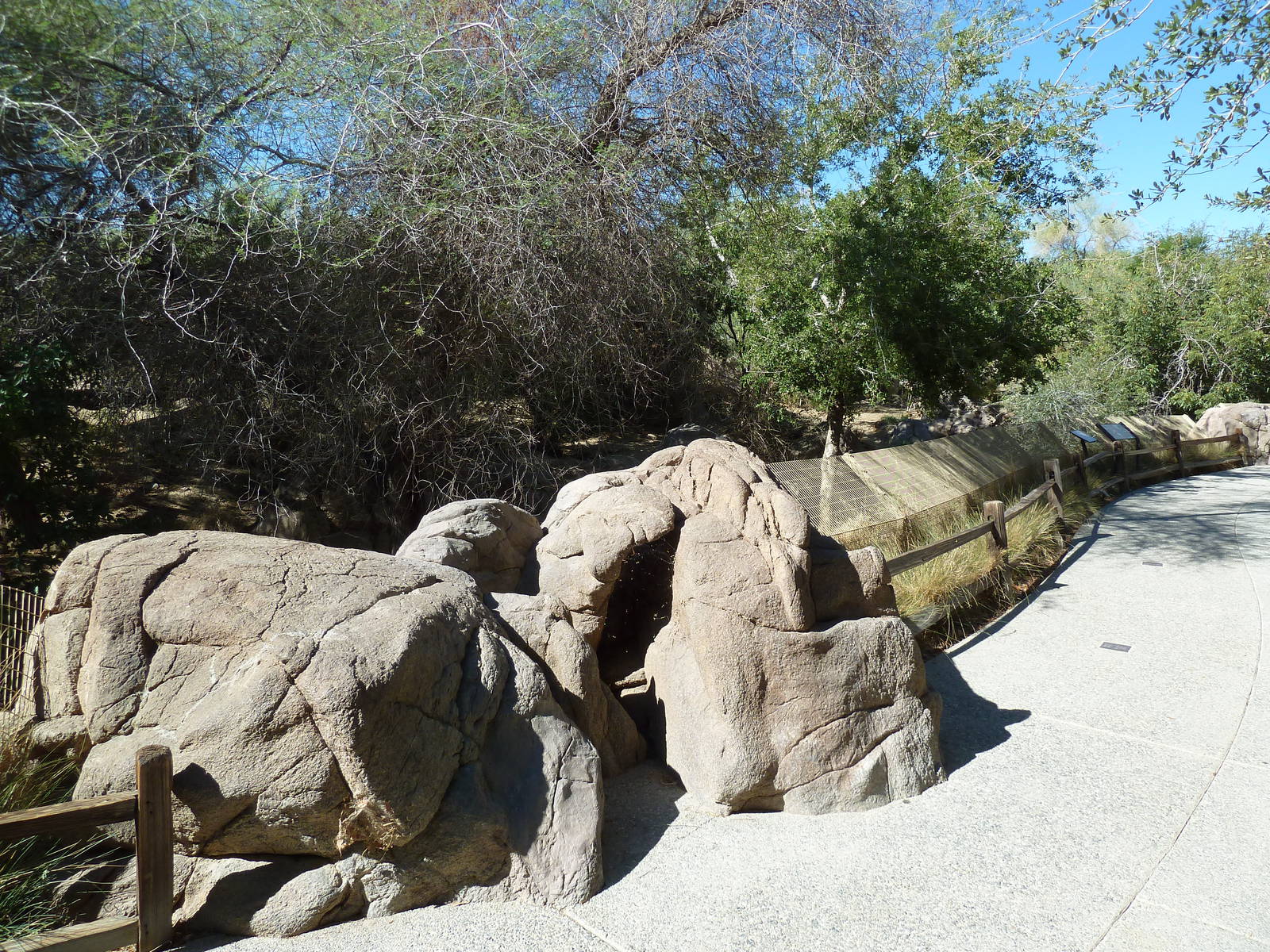 Mexican Grey Wolf Exhibit