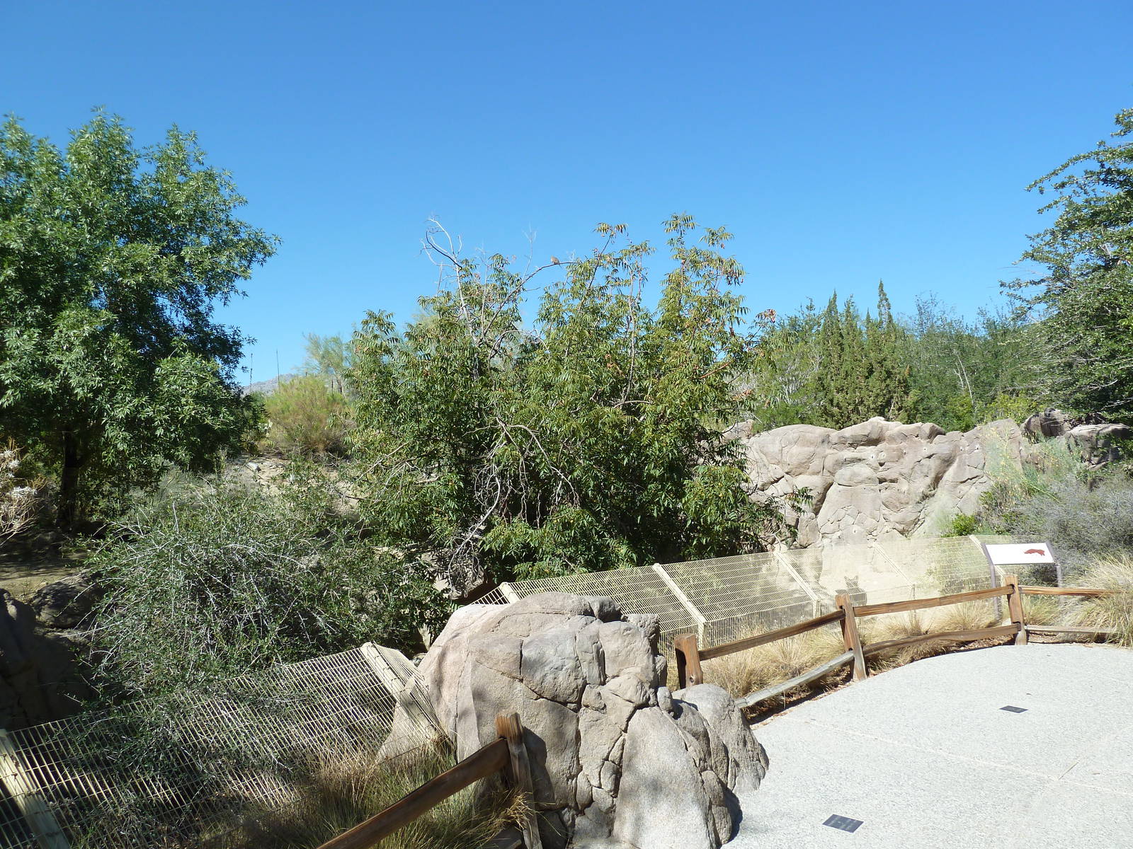 Mexican Grey Wolf Exhibit