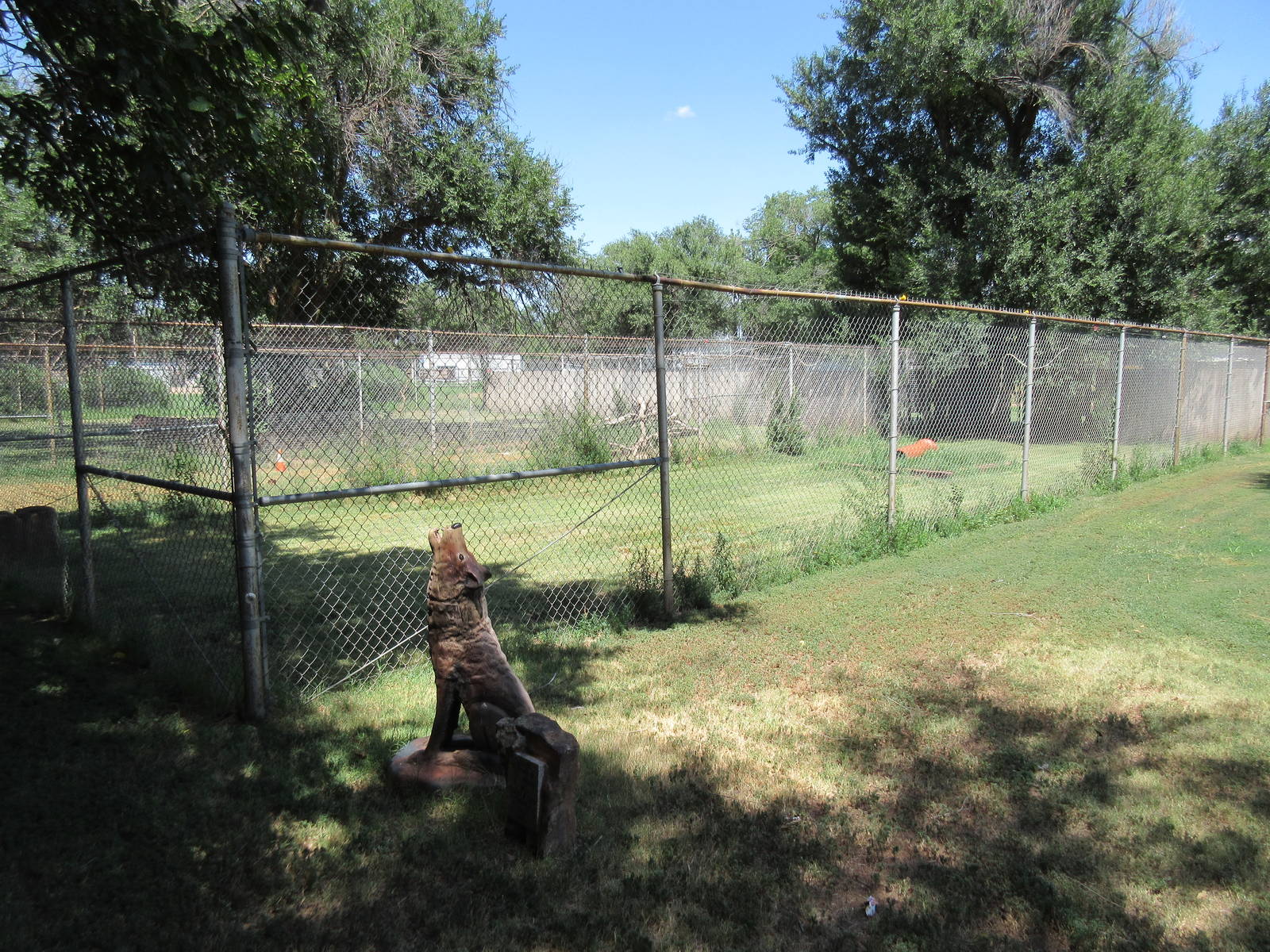 Mexican Grey Wolf Exhibit