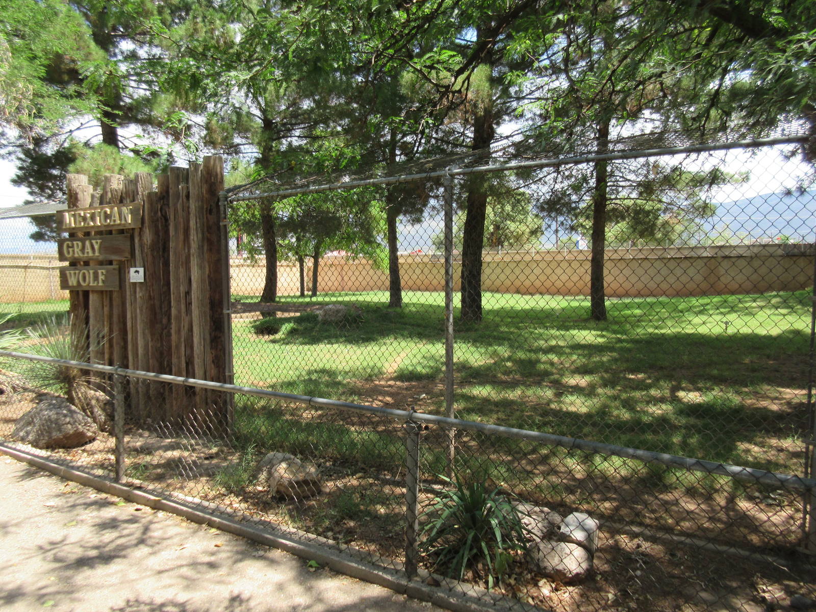 Mexican Grey Wolf Exhibit