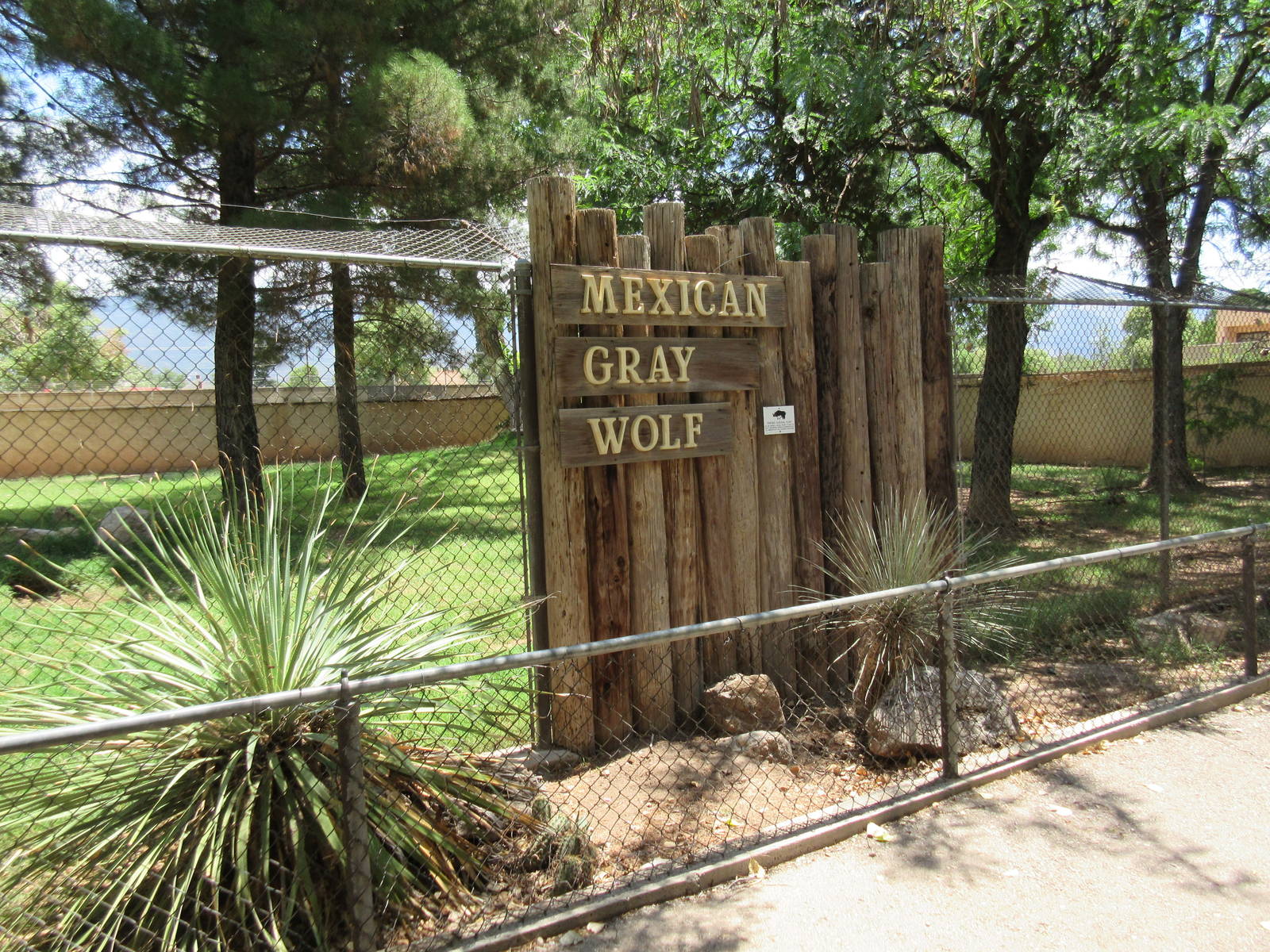 Mexican Grey Wolf Exhibit