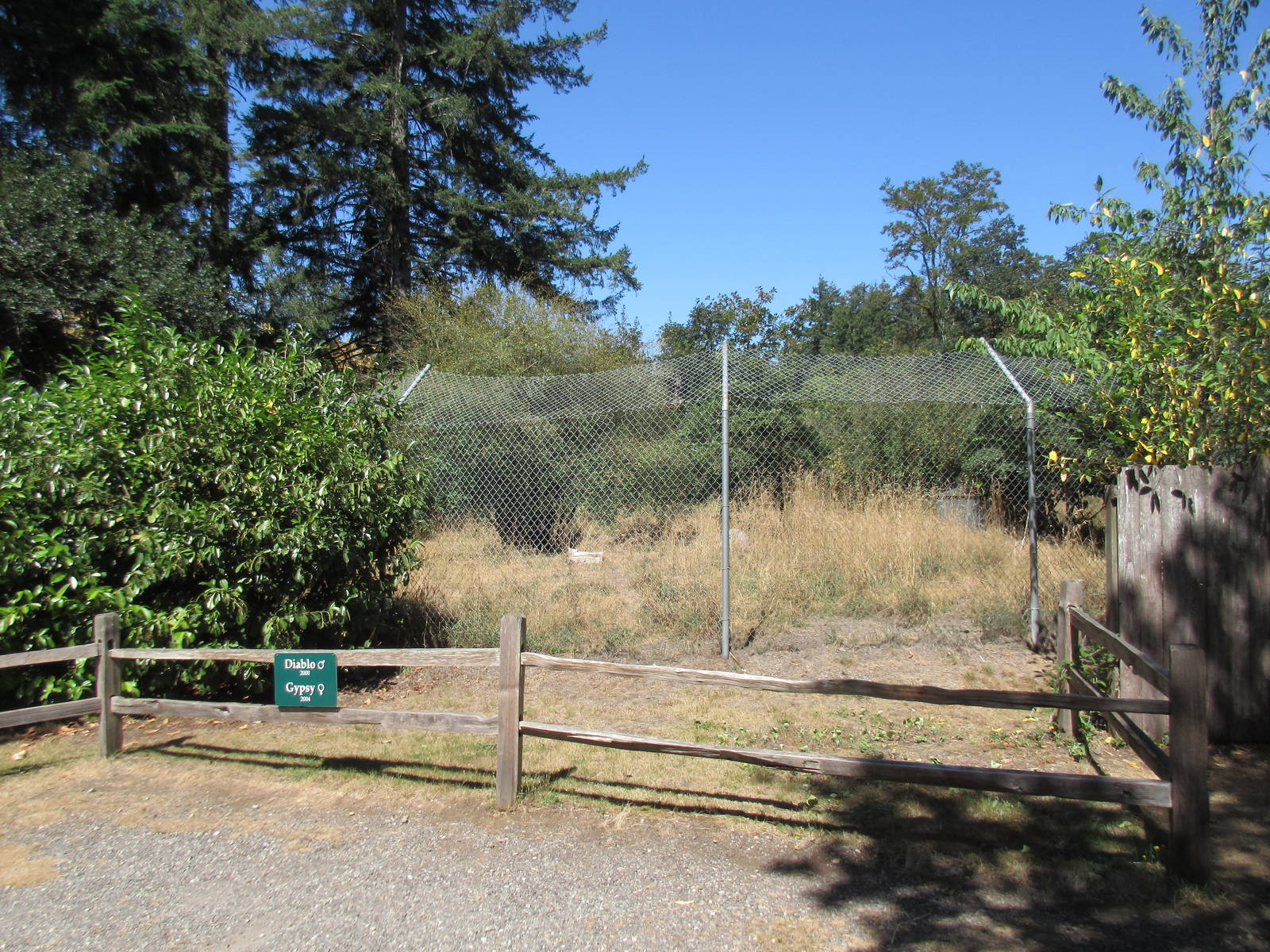 Mexican Grey Wolf Exhibit