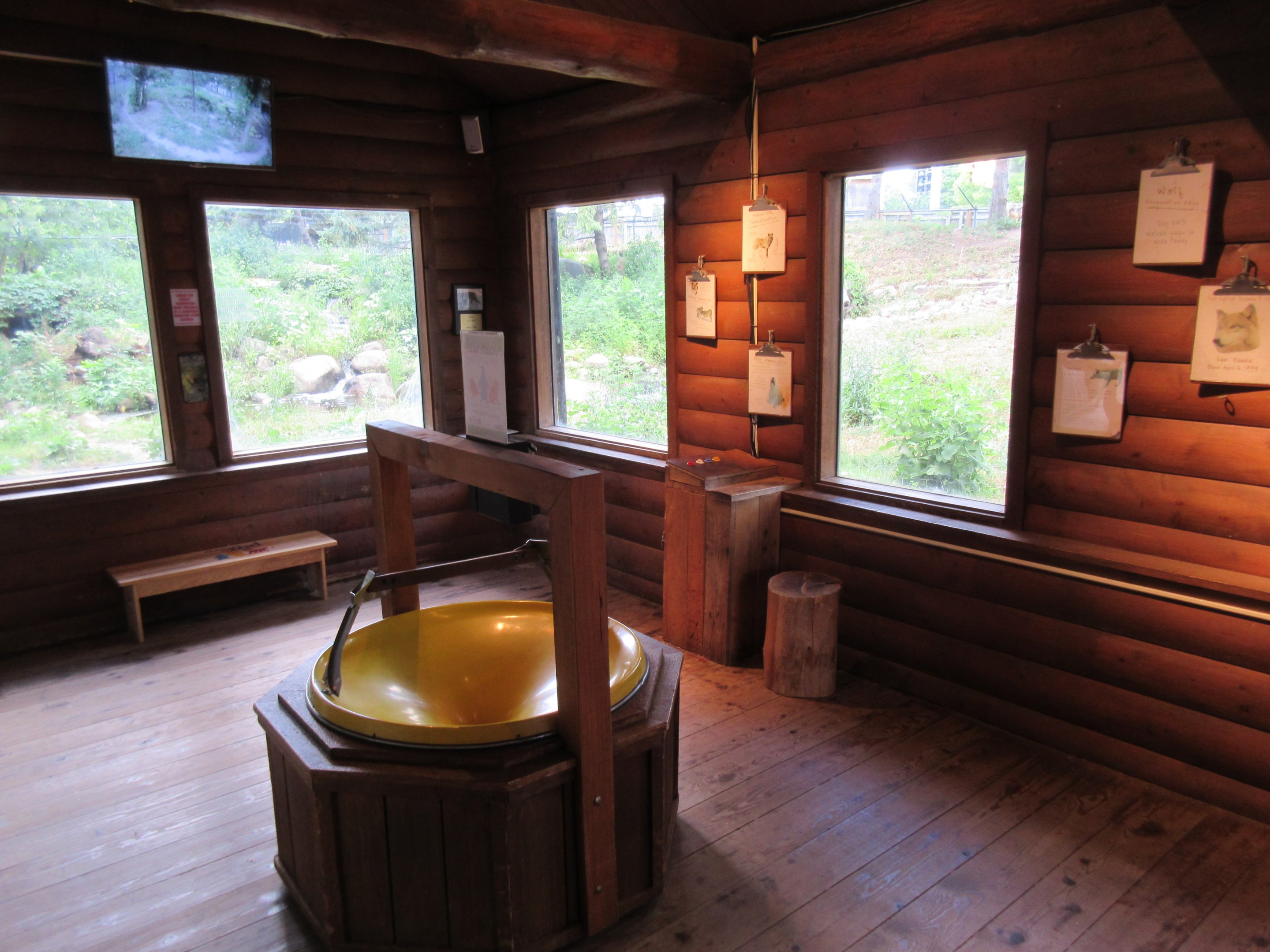 Mexican Grey Wolf Exhibit