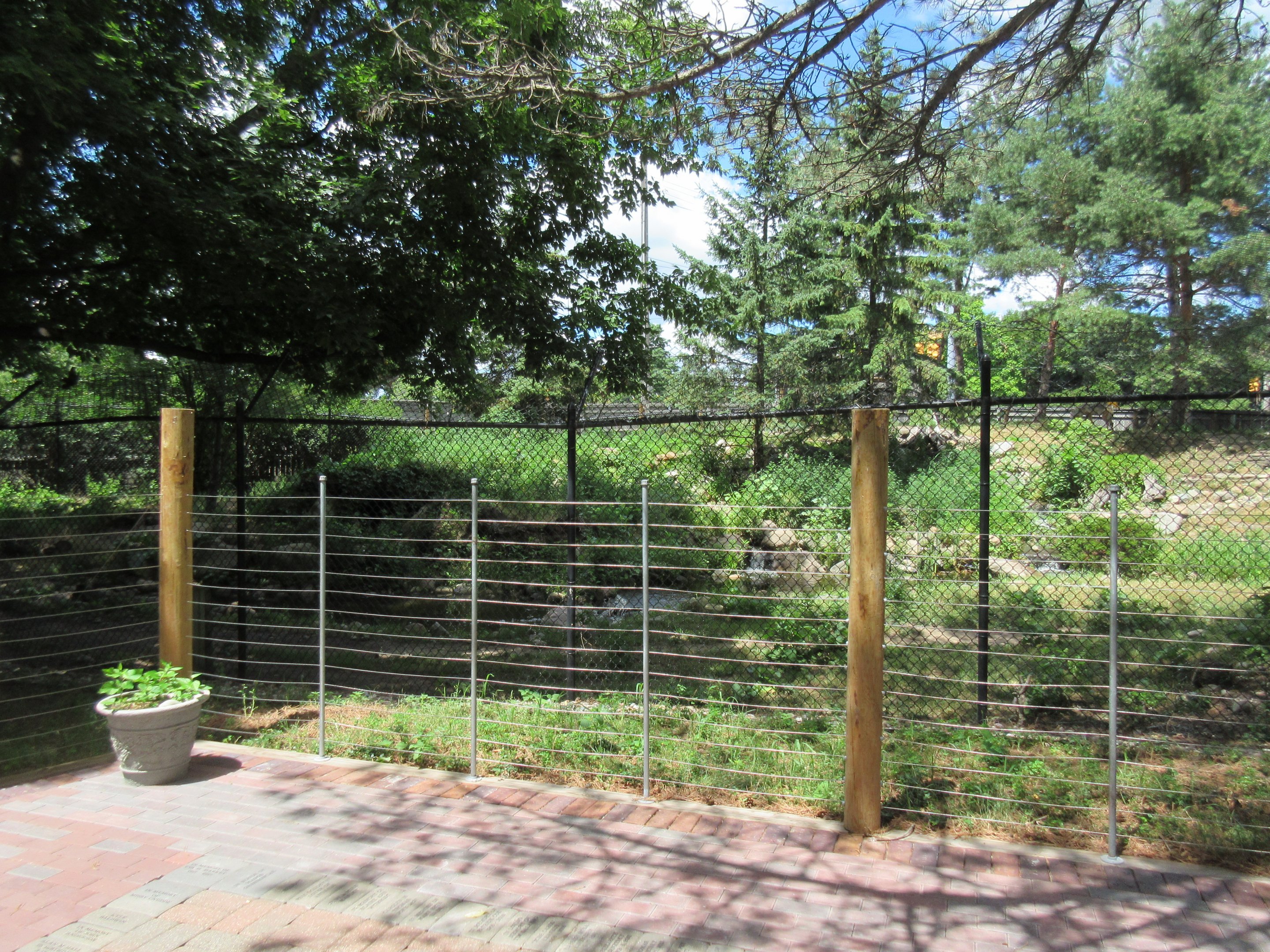 Mexican Grey Wolf Exhibit