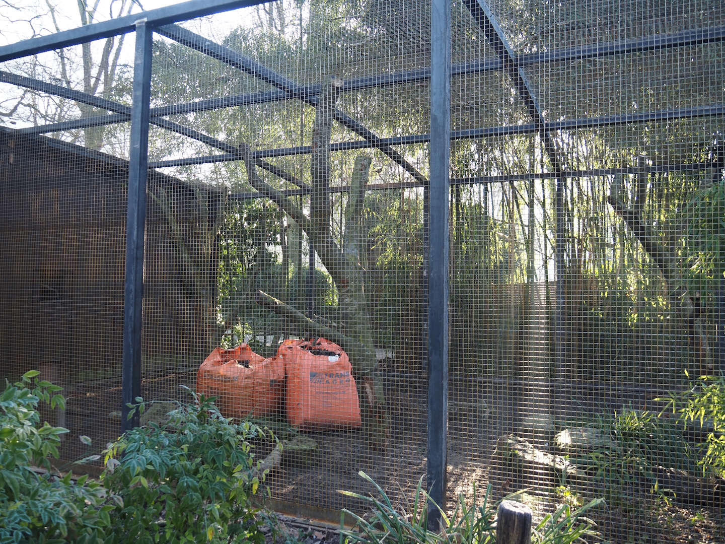 Mexican military macaw aviary undergoing renovation, 2025-02-02