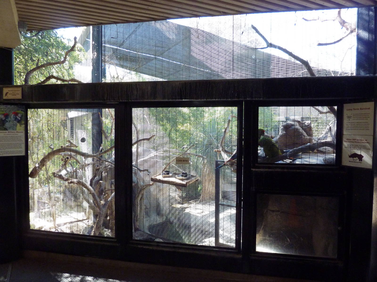 Mexican Military Macaw Exhibit