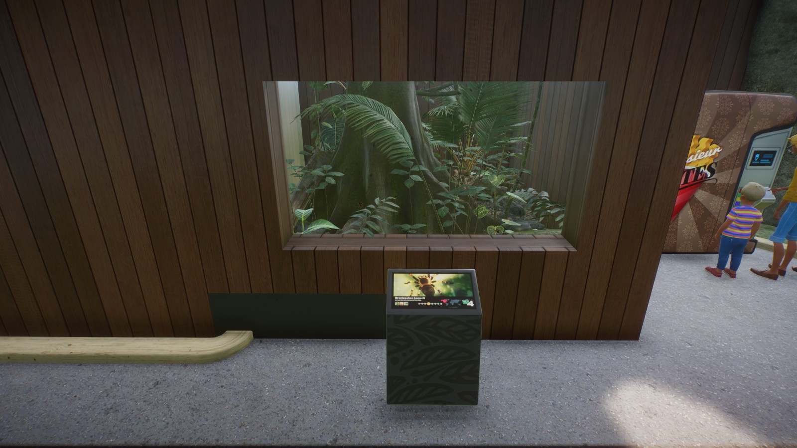 Mexican Redknee Tarantula Enclosure