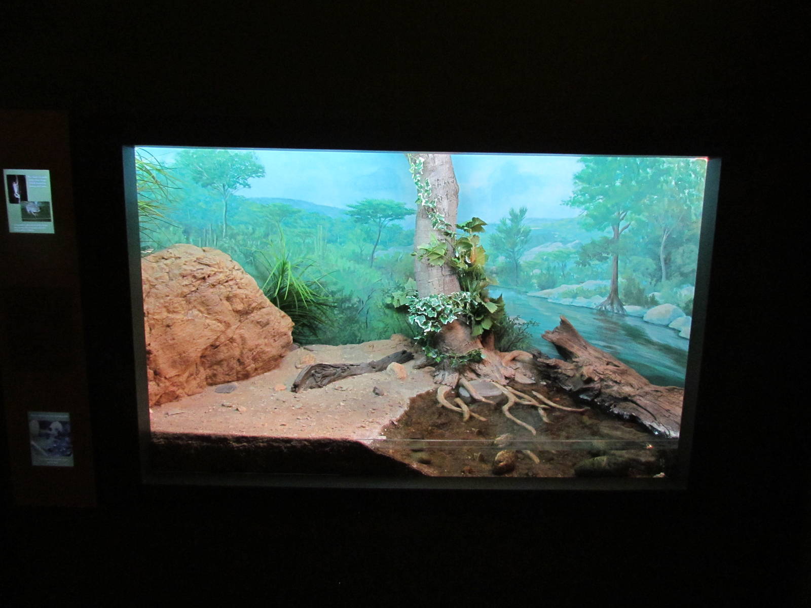 Mexican Riverine Exhibit