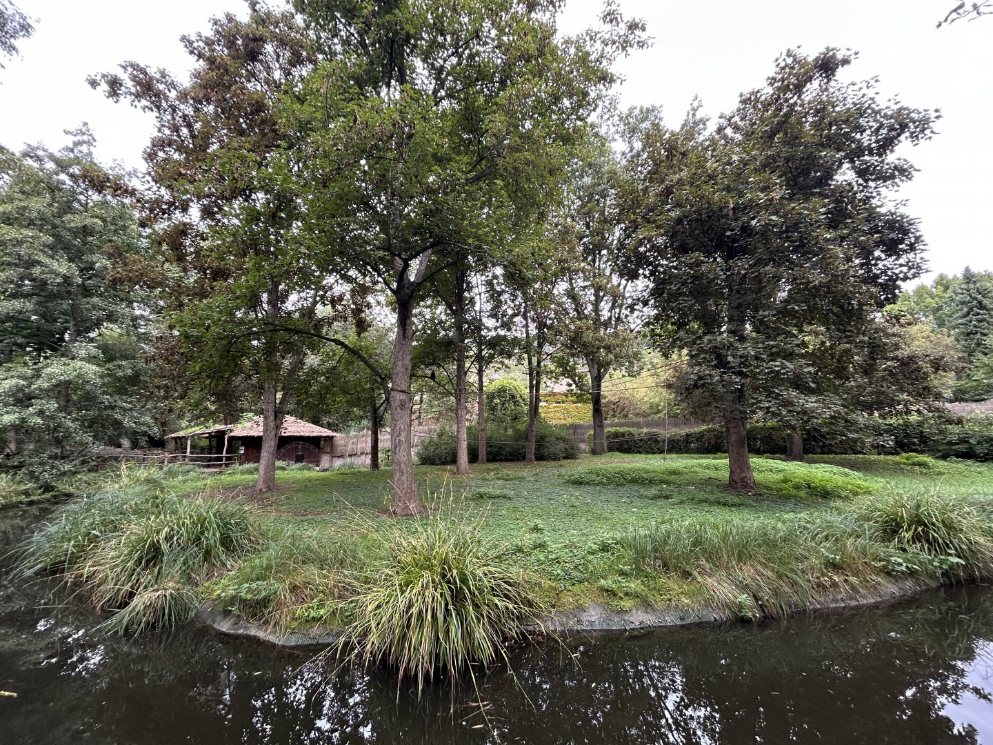 Mexican Spider Monkey Exhibit