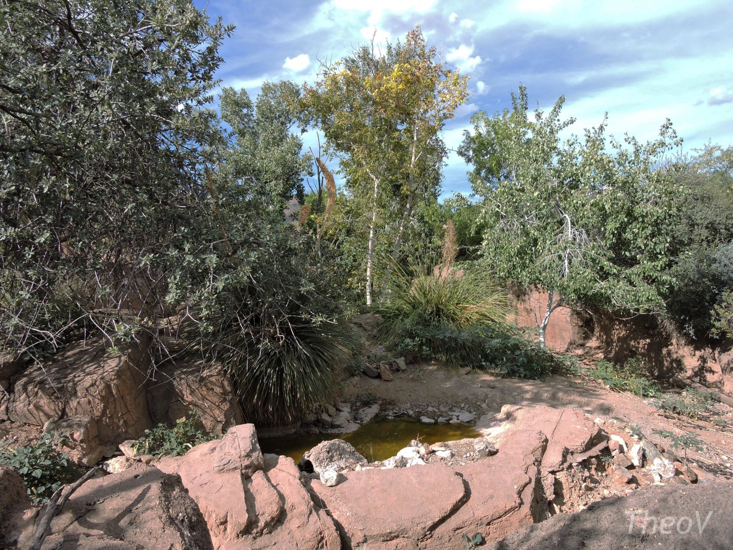 Mexican wolf exhibit [2015]