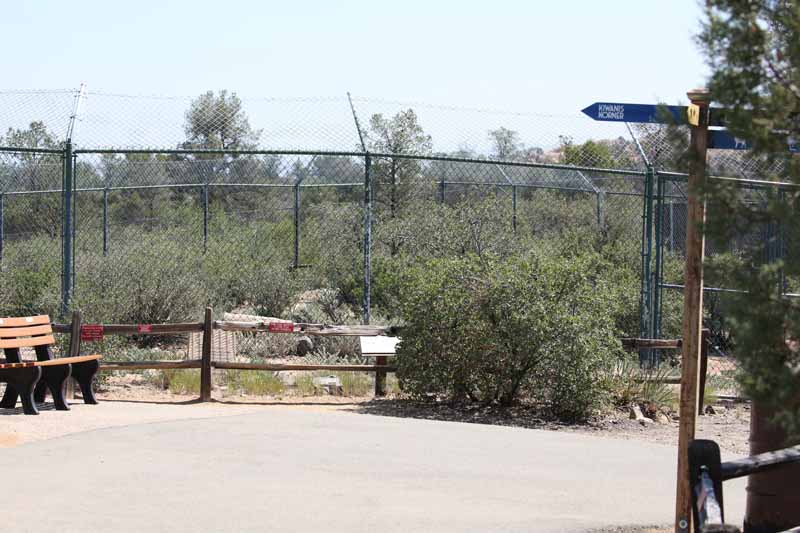 Mexican wolf exhibit