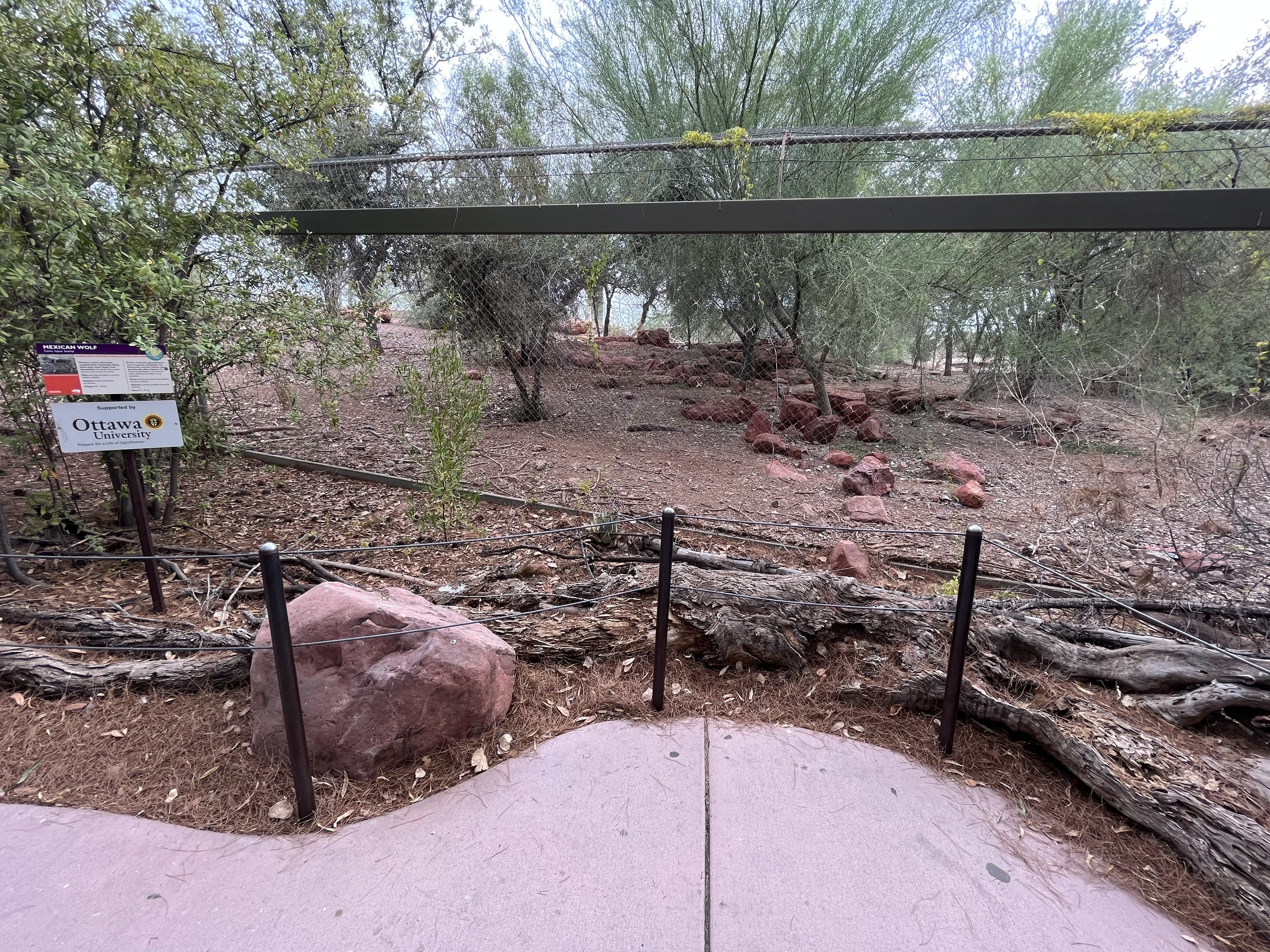Mexican Wolf Exhibit