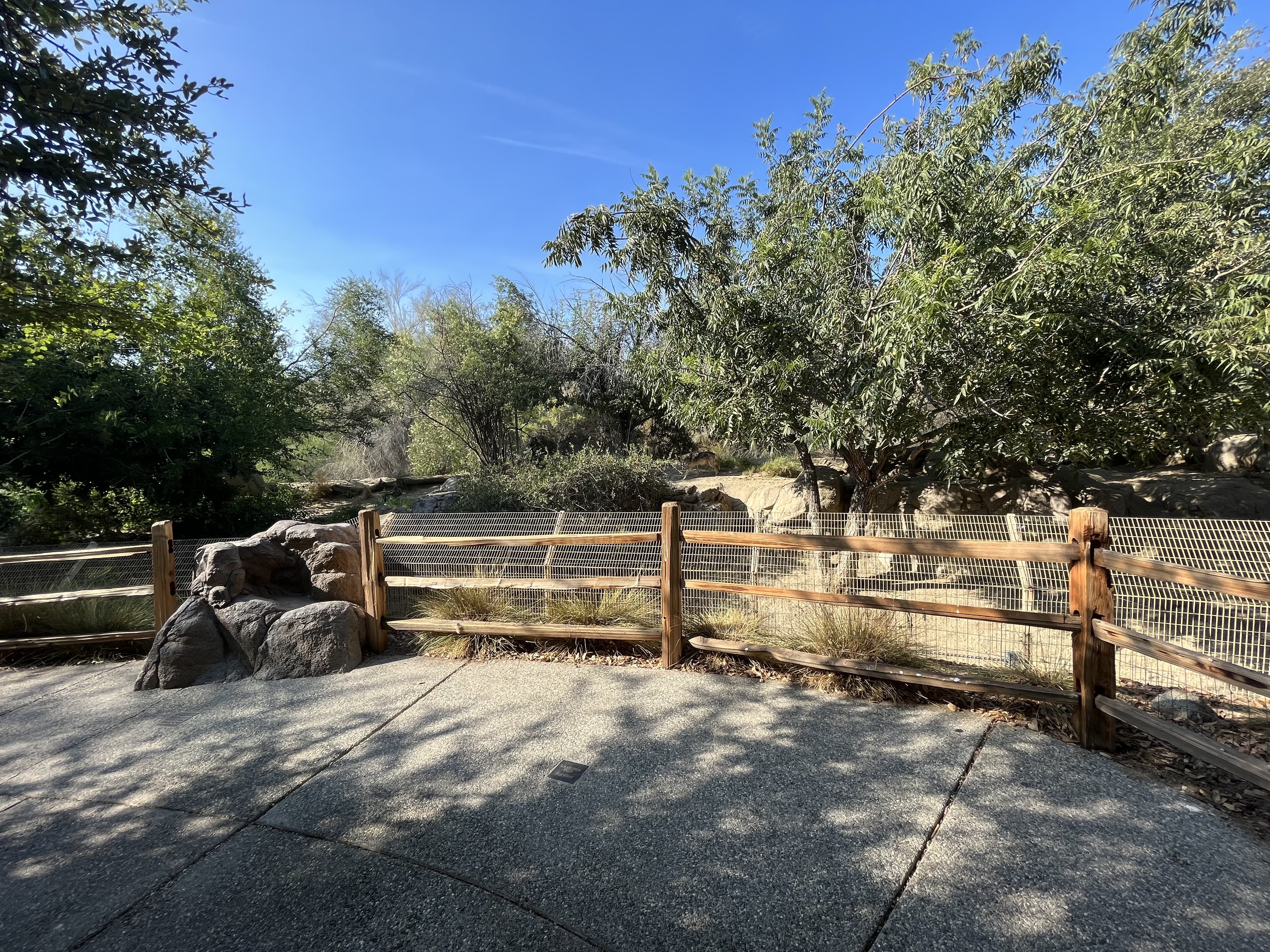 Mexican Wolf Exhibit