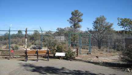 mexican wolf exhibit