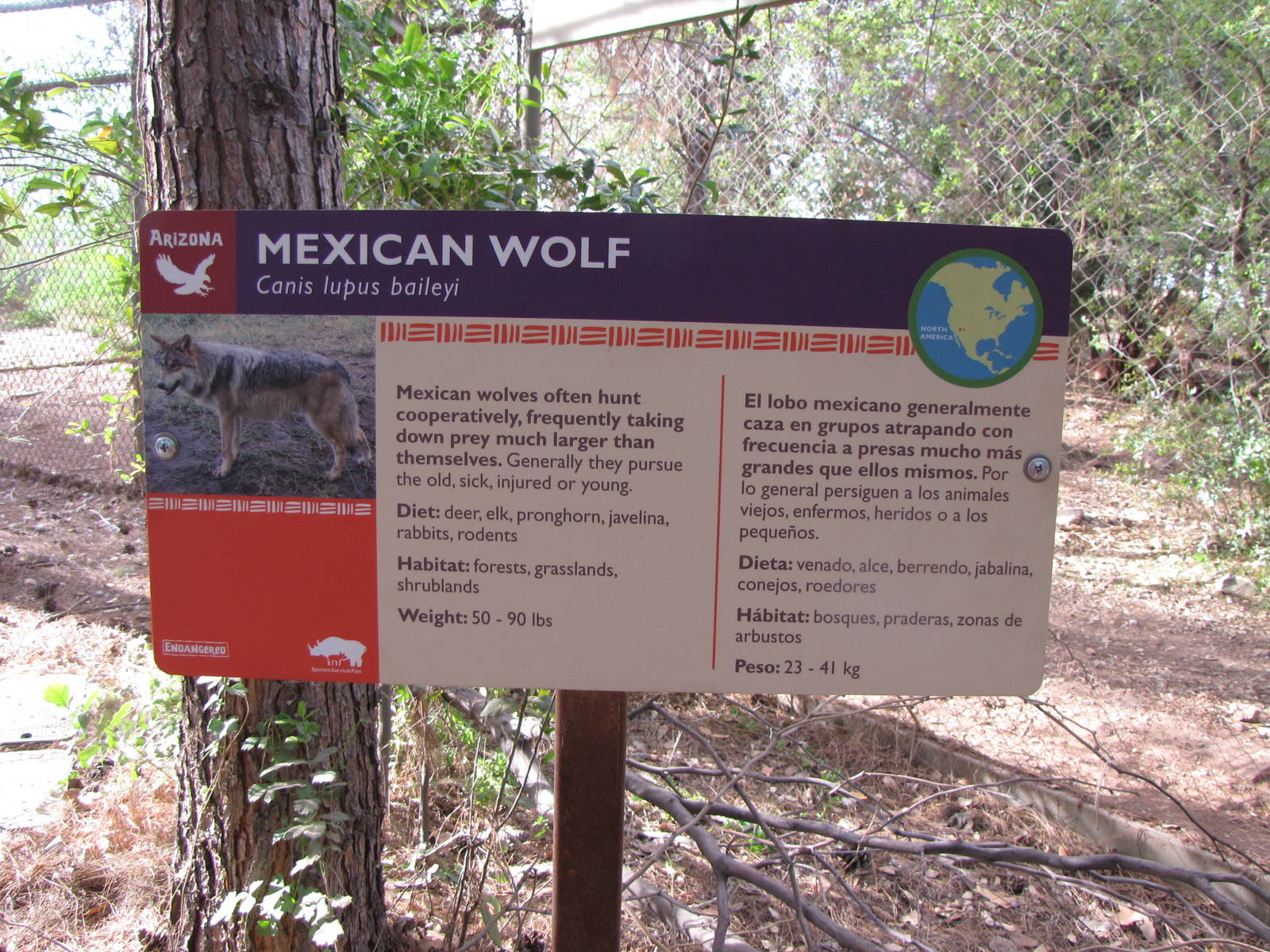 Mexican Wolf Signage