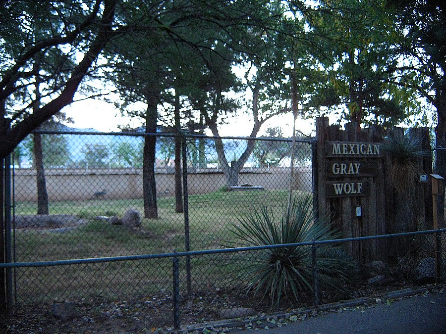 Mexican Wolf Yard