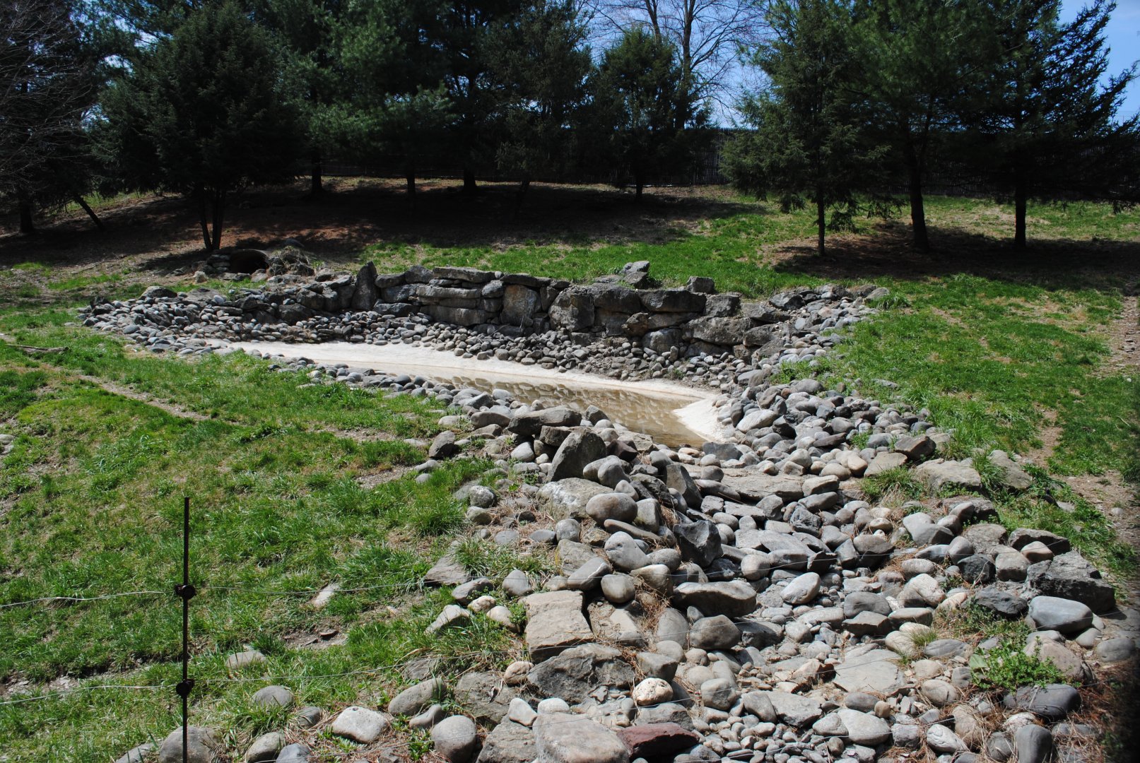 Mexican Wolves' Exhibit