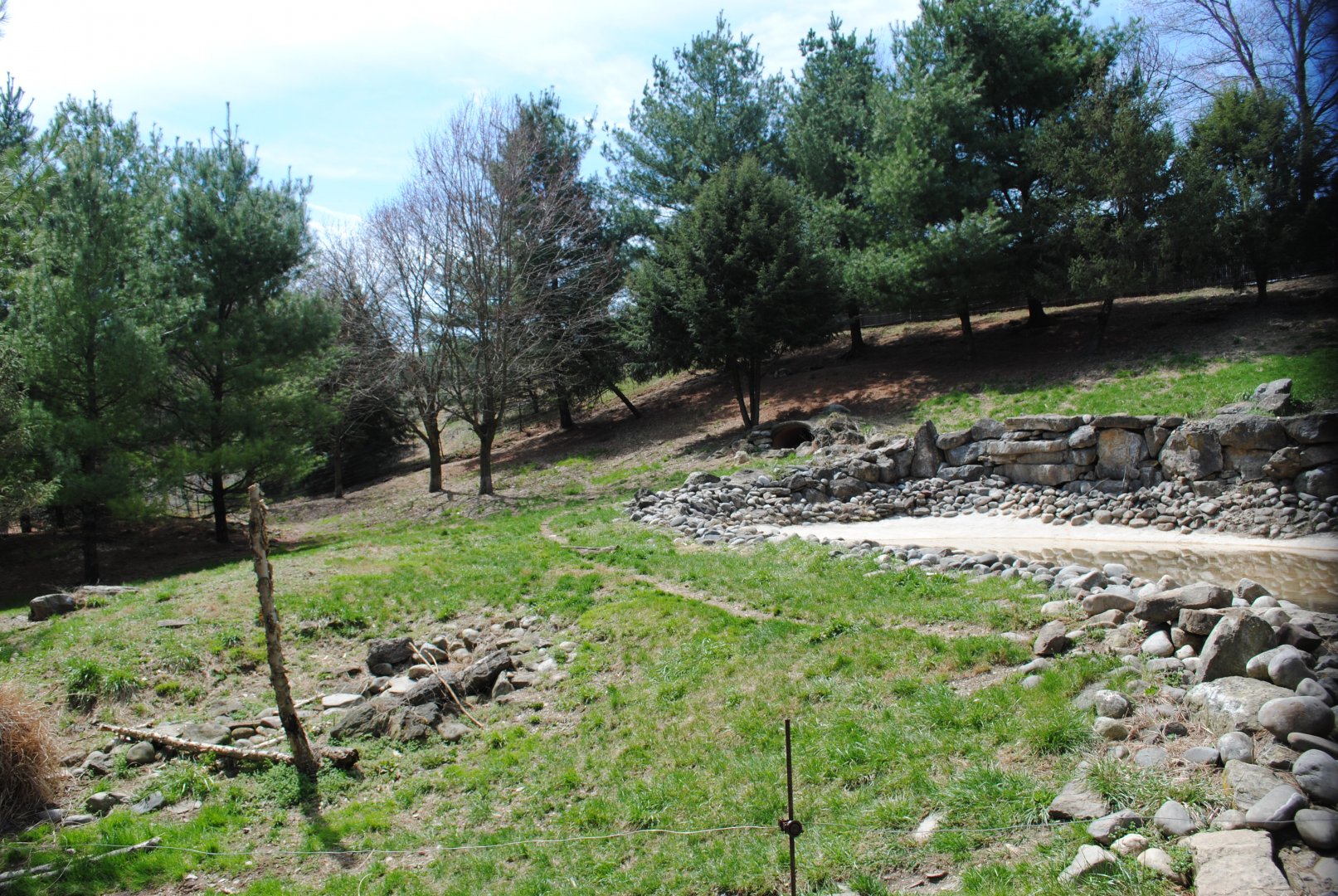 Mexican Wolves' Exhibit