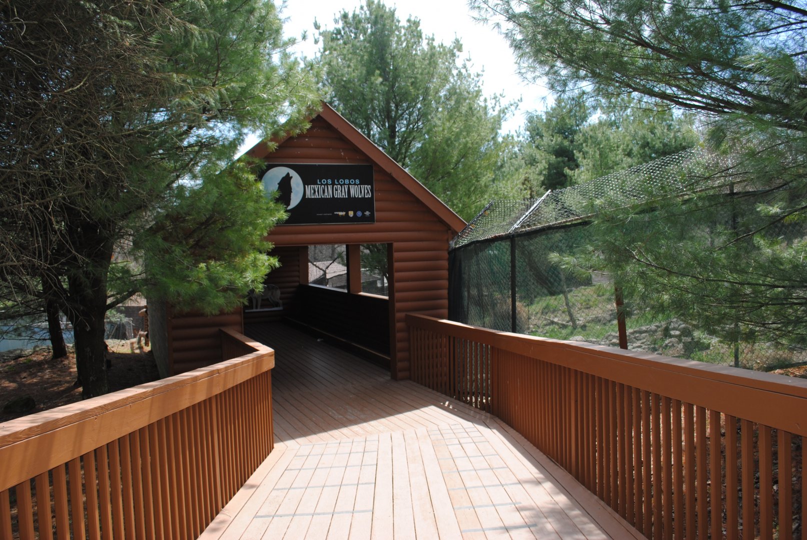 Mexican Wolves' Observation Cabin