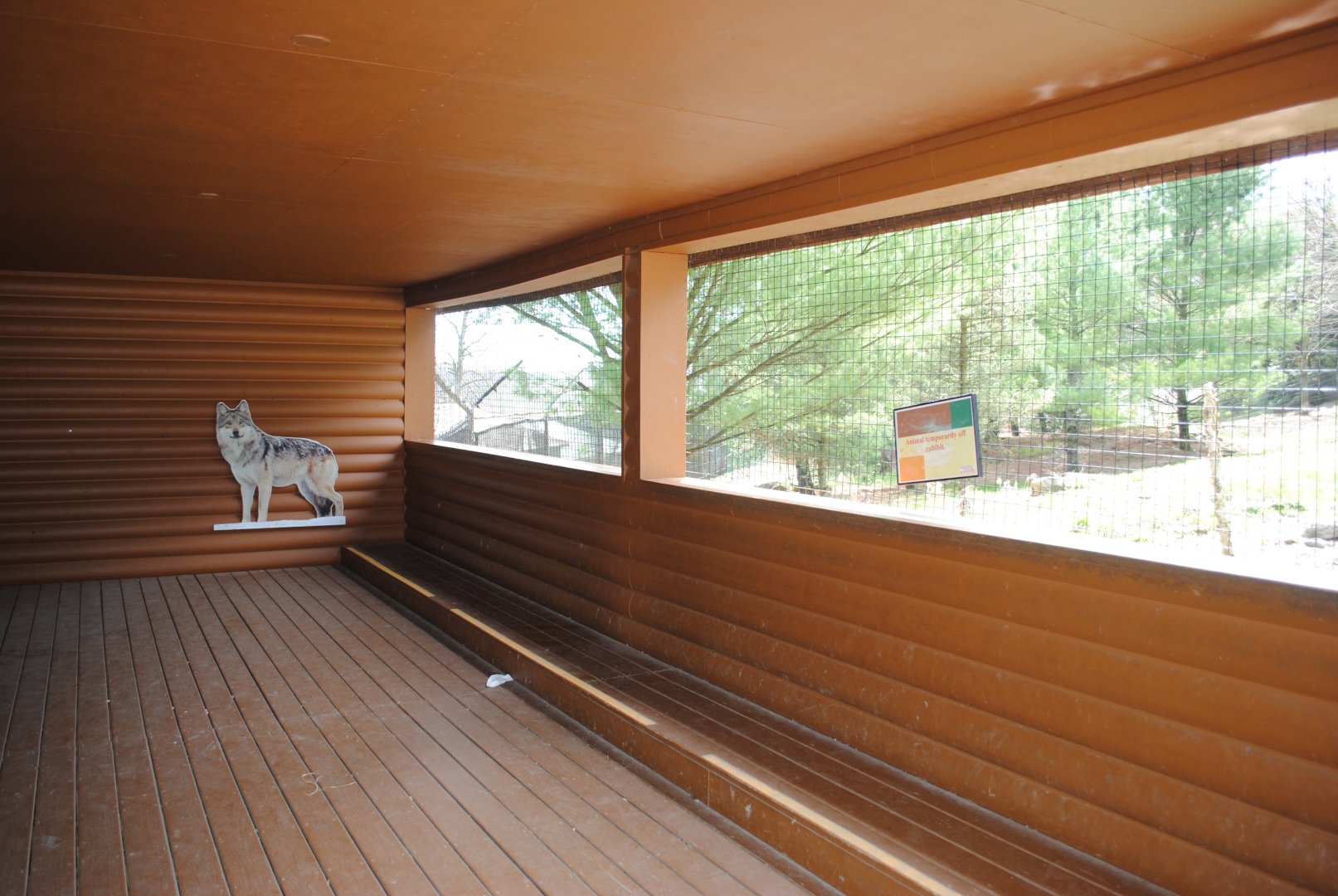 Mexican Wolves' Observation Cabin