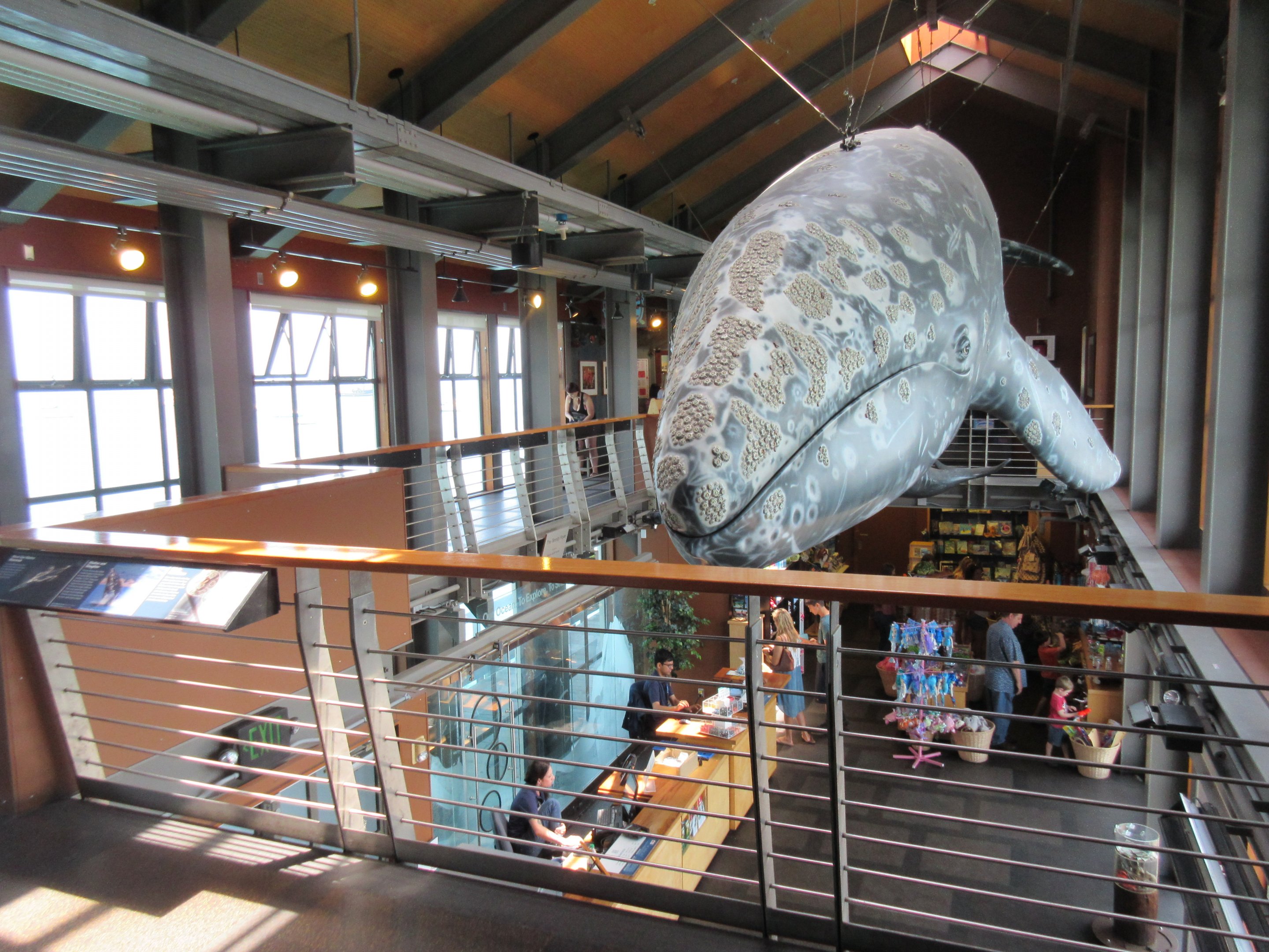 Mezzanine Level View