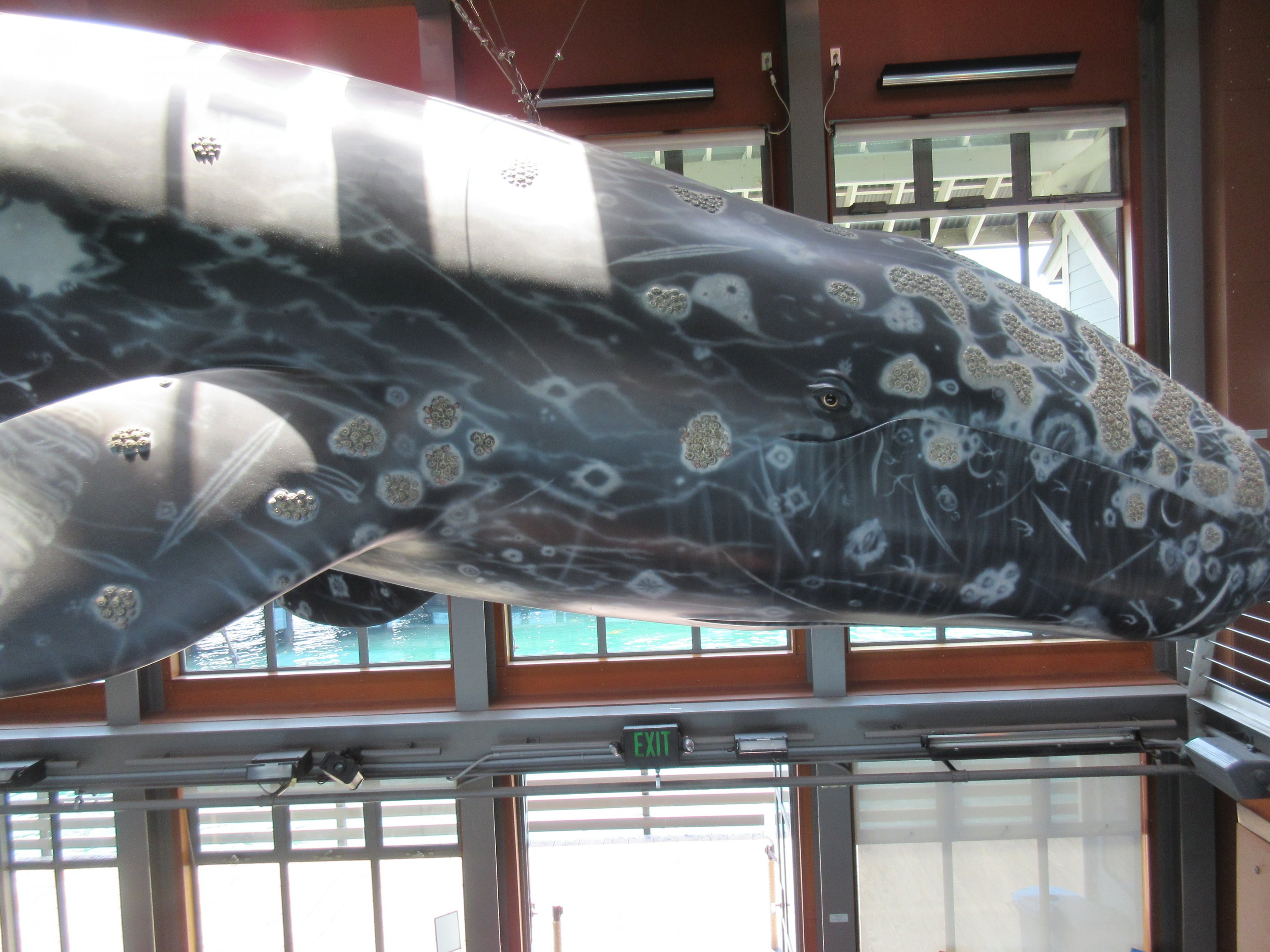 Mezzanine Level View