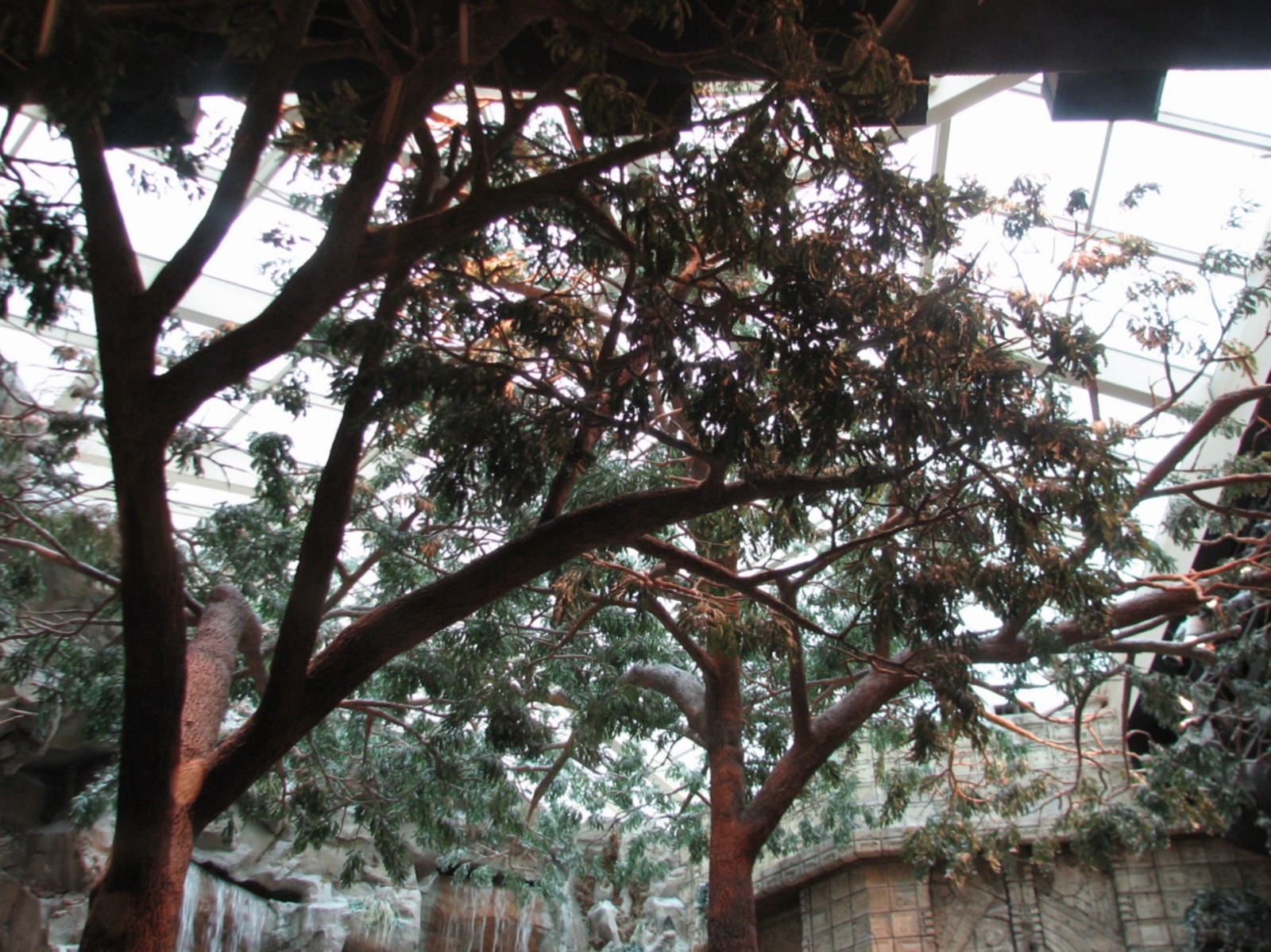 MGM Grand Lion Habitat - Simulated Tree Canopy and Skylight