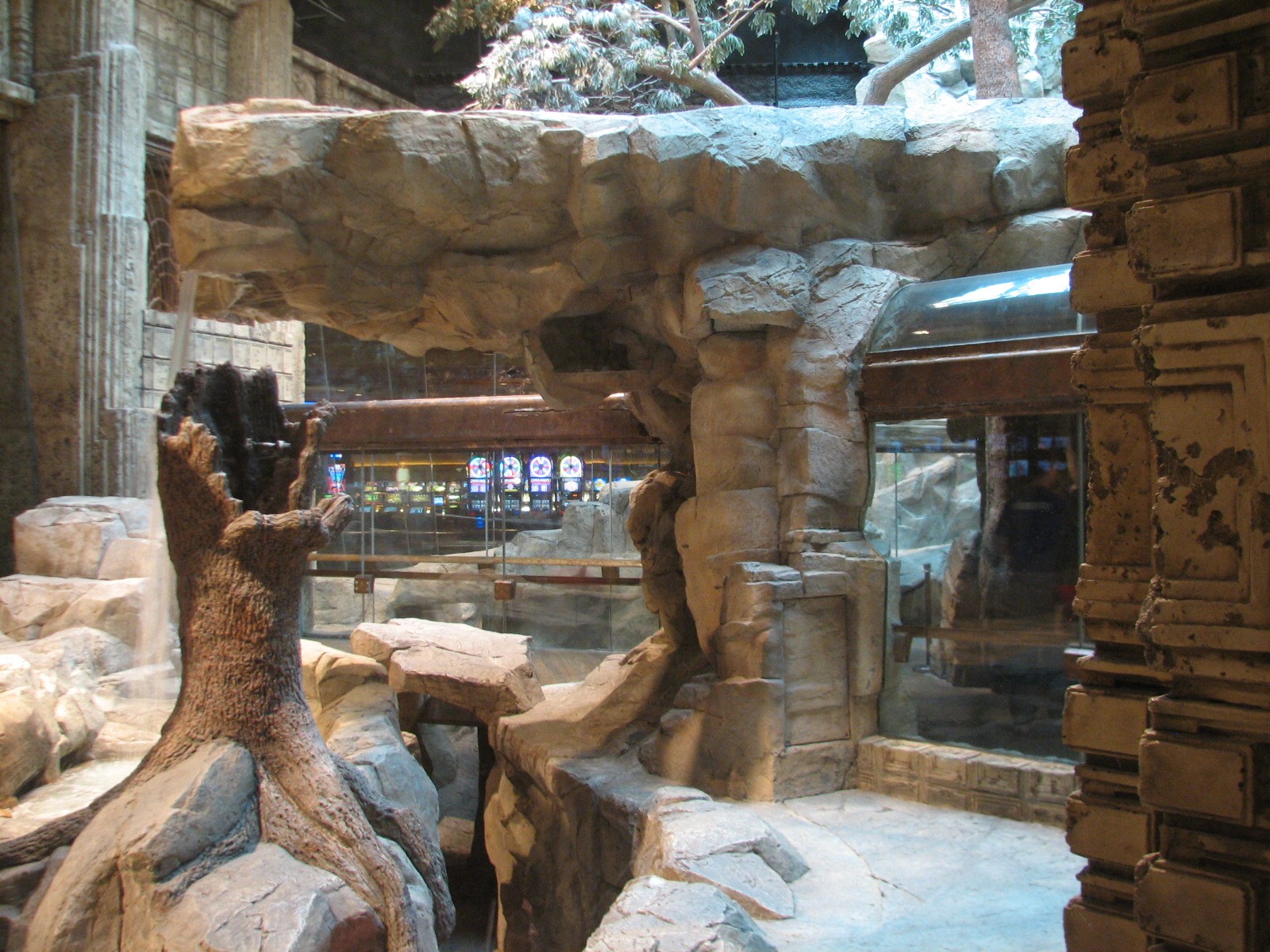 MGM Grand Lion Habitat - View from Gift Shop Window