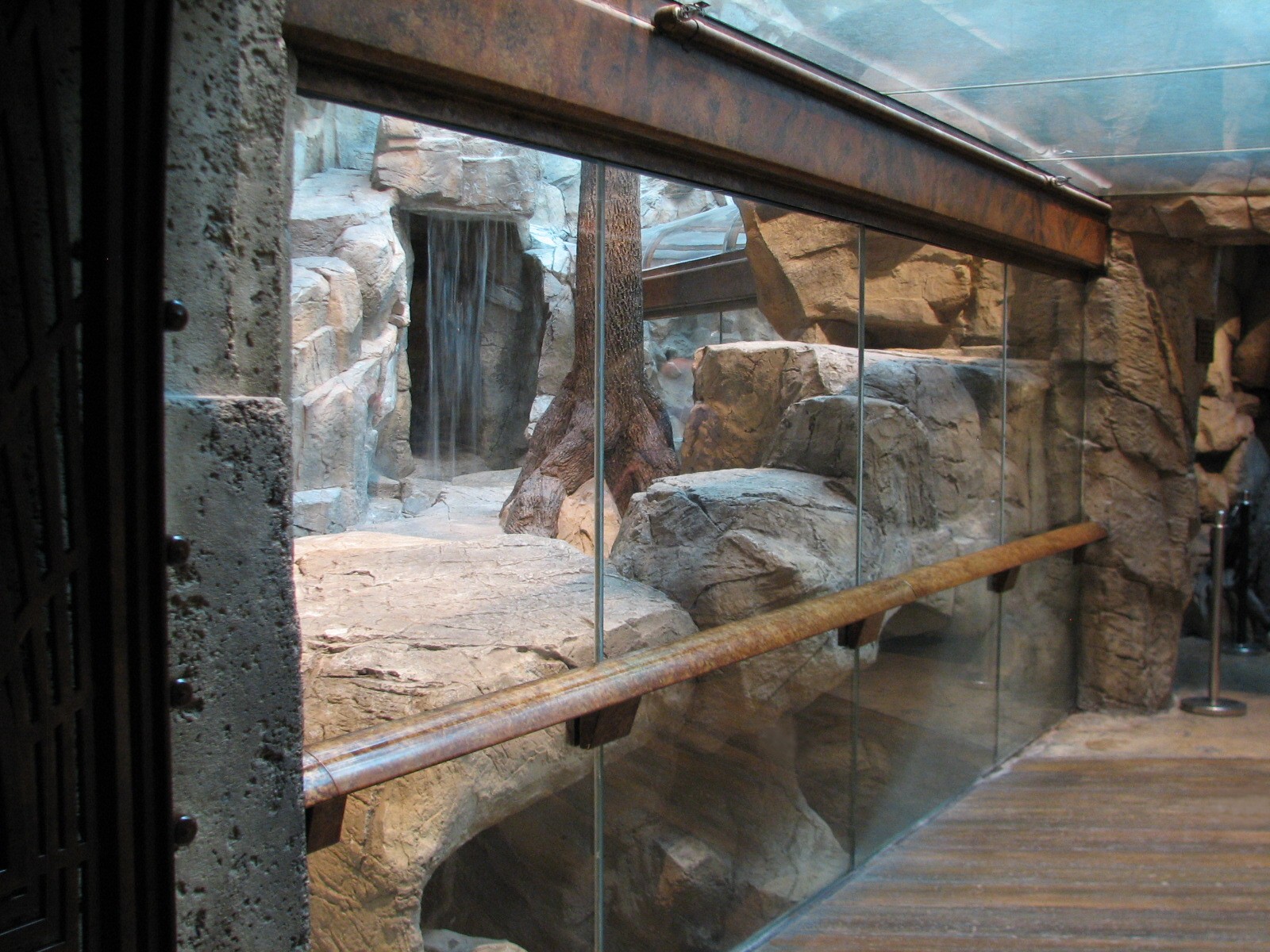 MGM Grand Lion Habitat - Viewing Tunnel